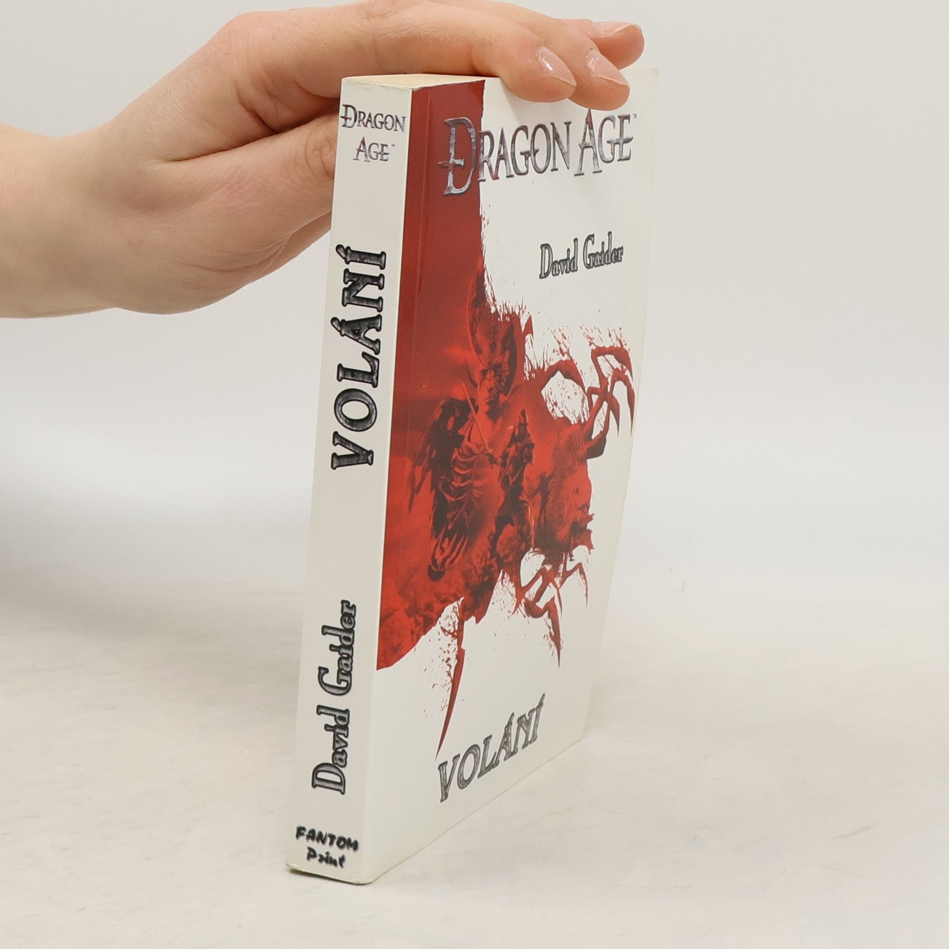 David Gaider Dragon age. Volání