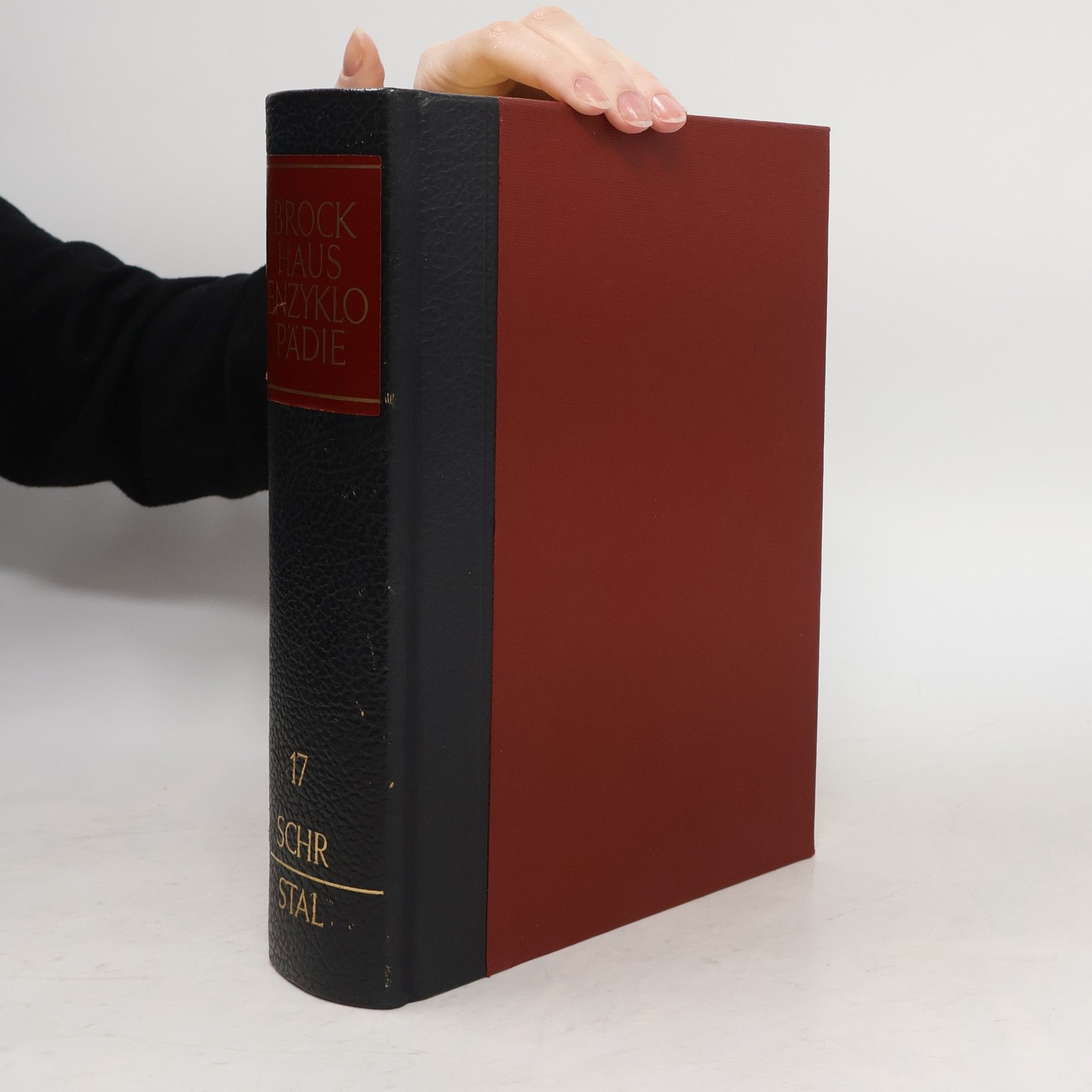 Kolektiv autorů Brockhaus Enzyklopädie 17. Schr-Stal