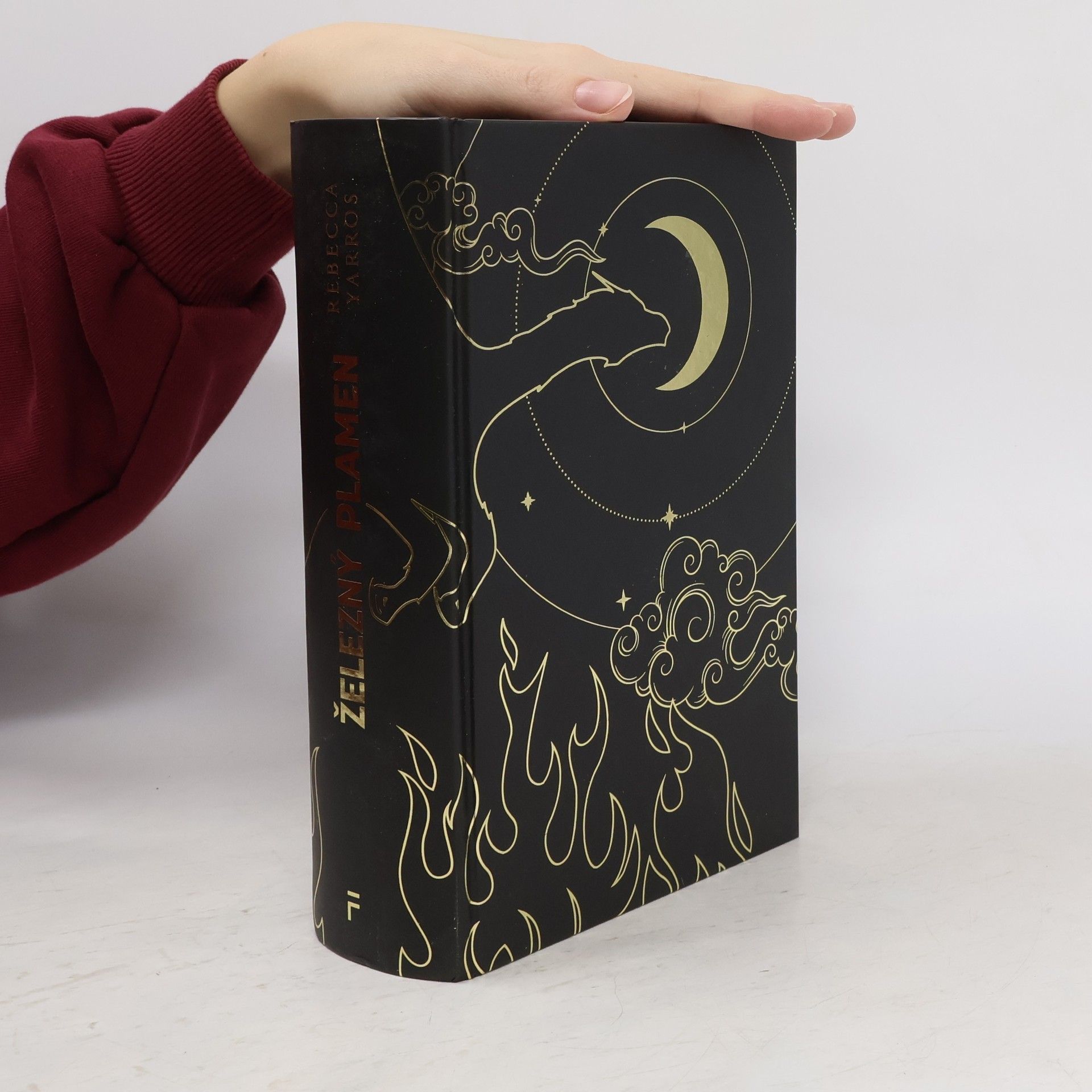 Rebecca Yarros Železný plamen