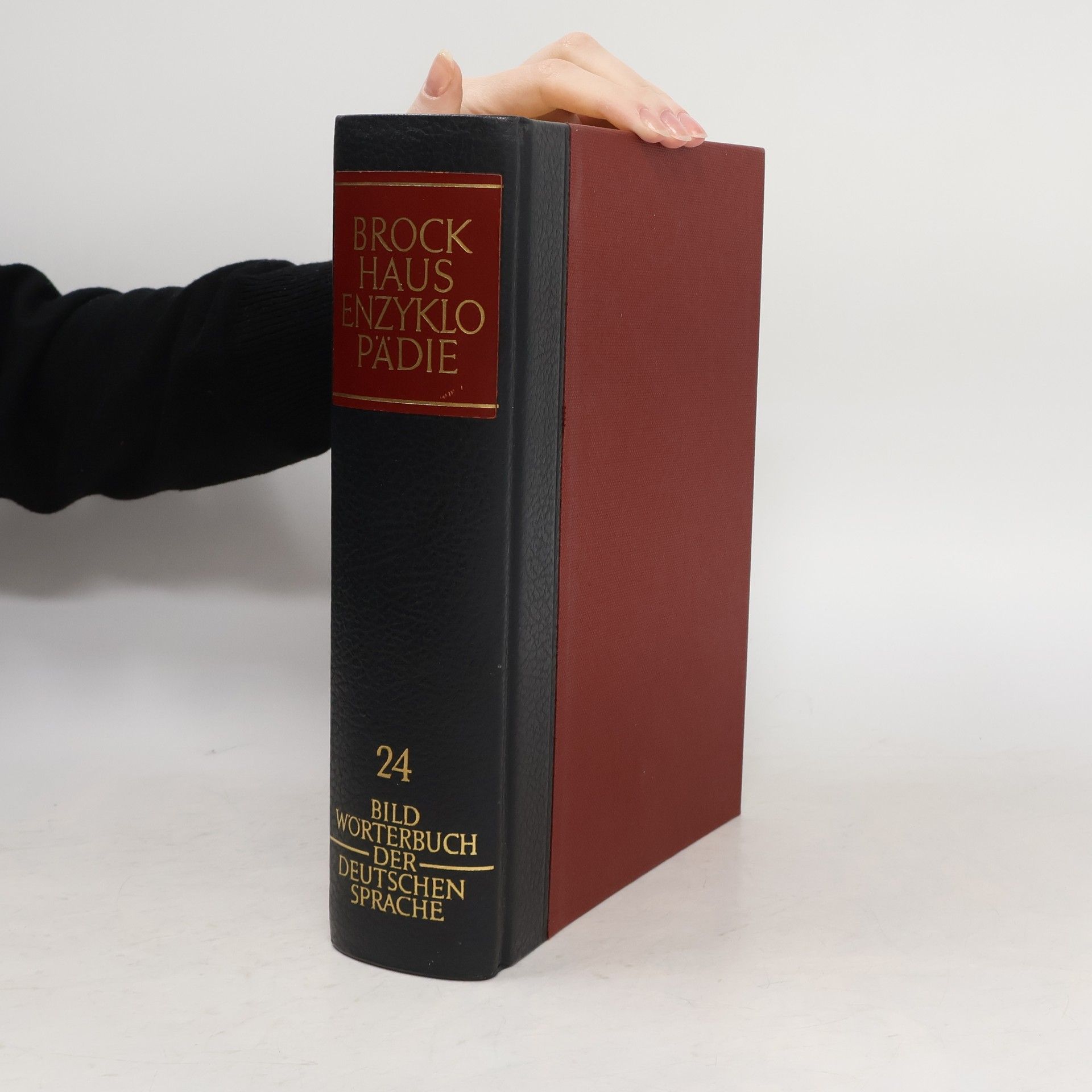 Autorenkollektiv Brockhaus Enzyklopädie 24