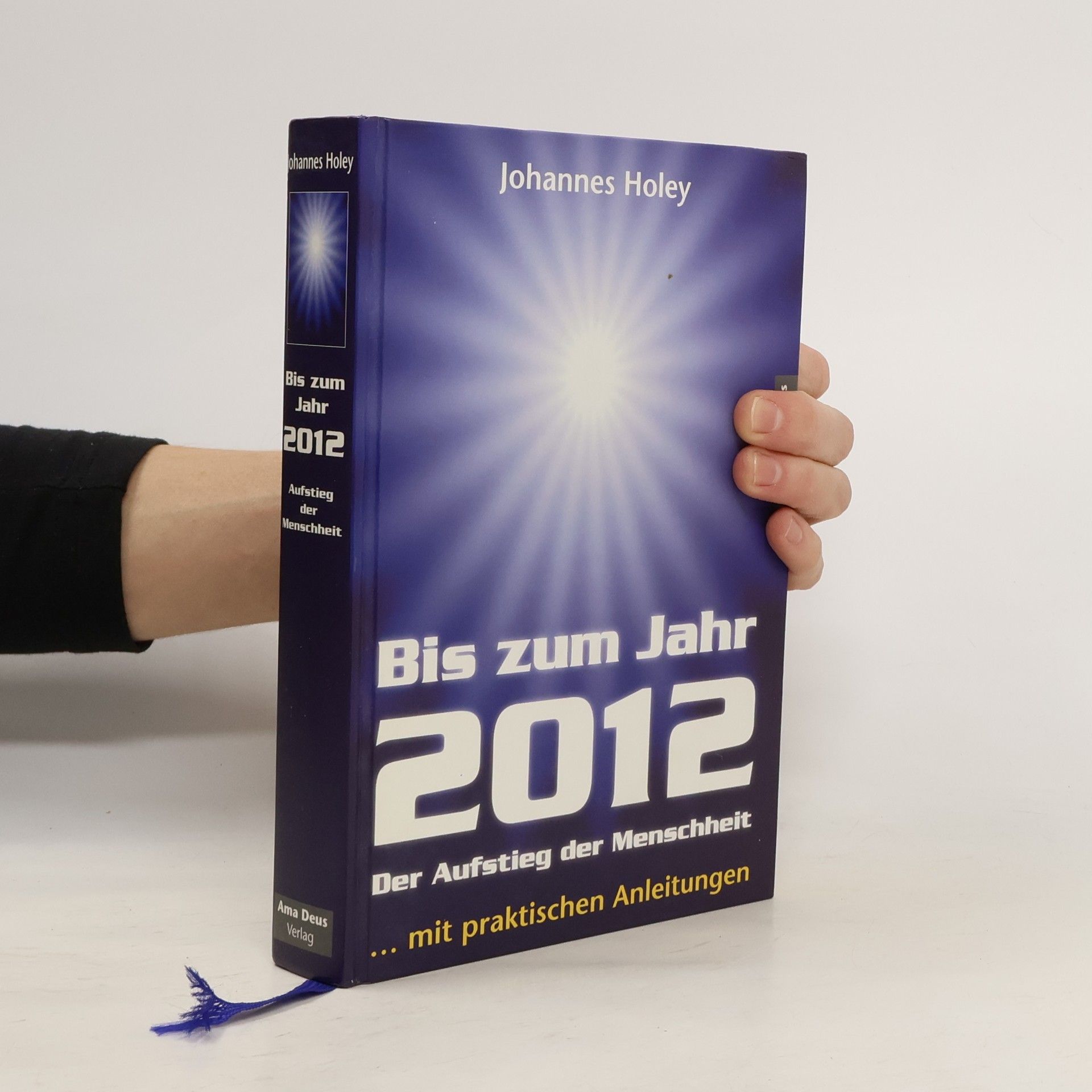 Johannes Holey Bis zum Jahr 2012