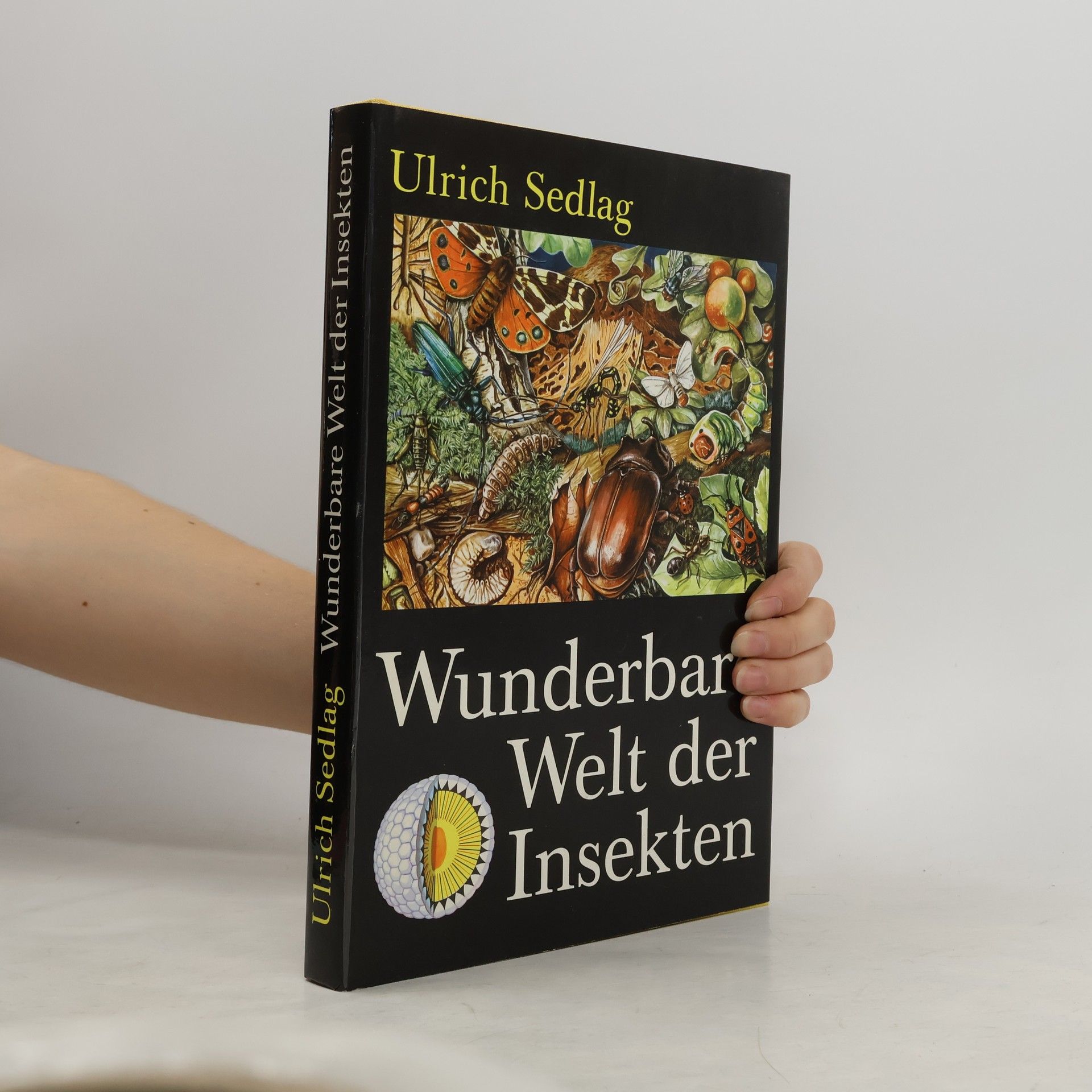 Ulrich Sedlag Wunderbare Welt der Insekten