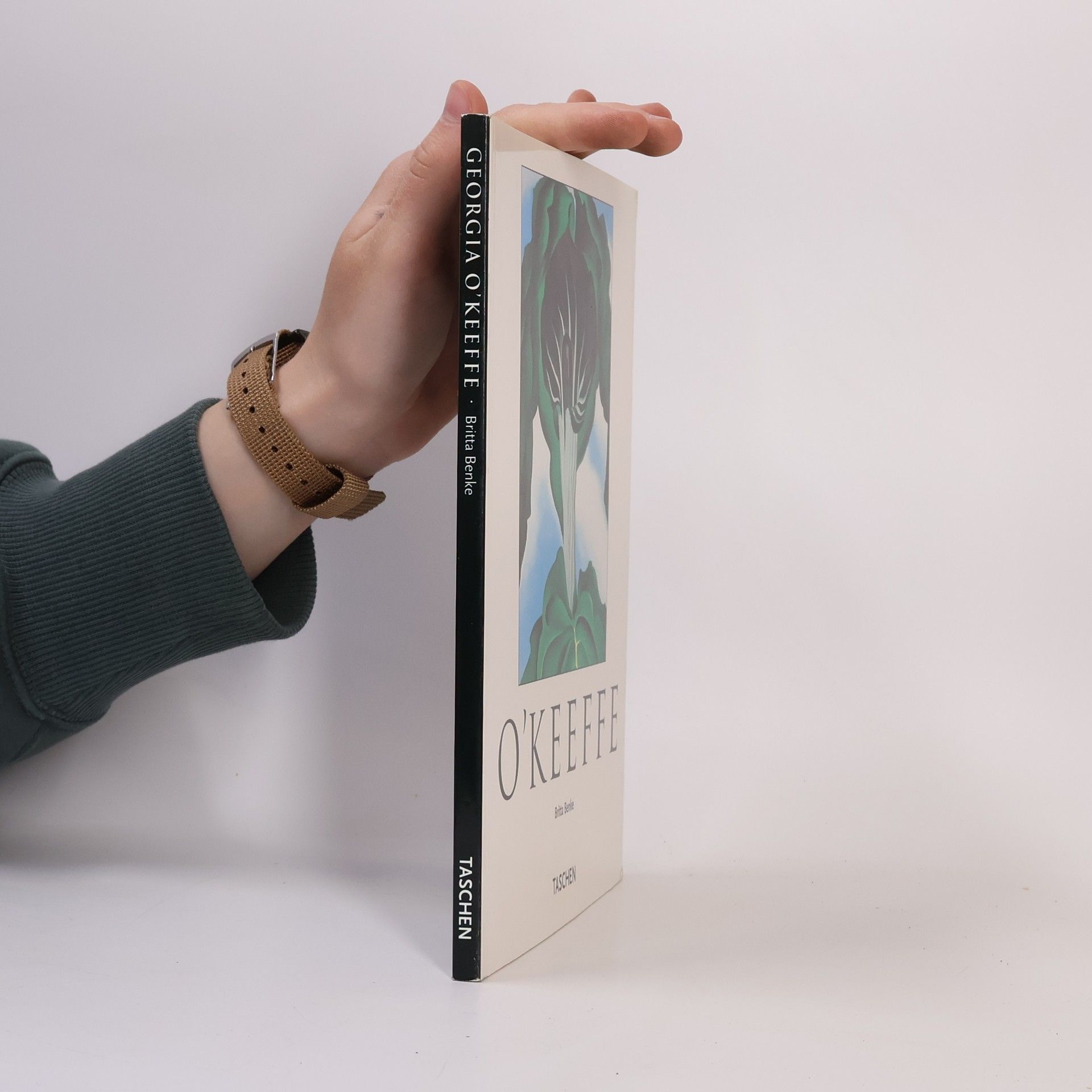 Georgia O’Keeffe O'Keeffe. Kleine Reihe - Kunst