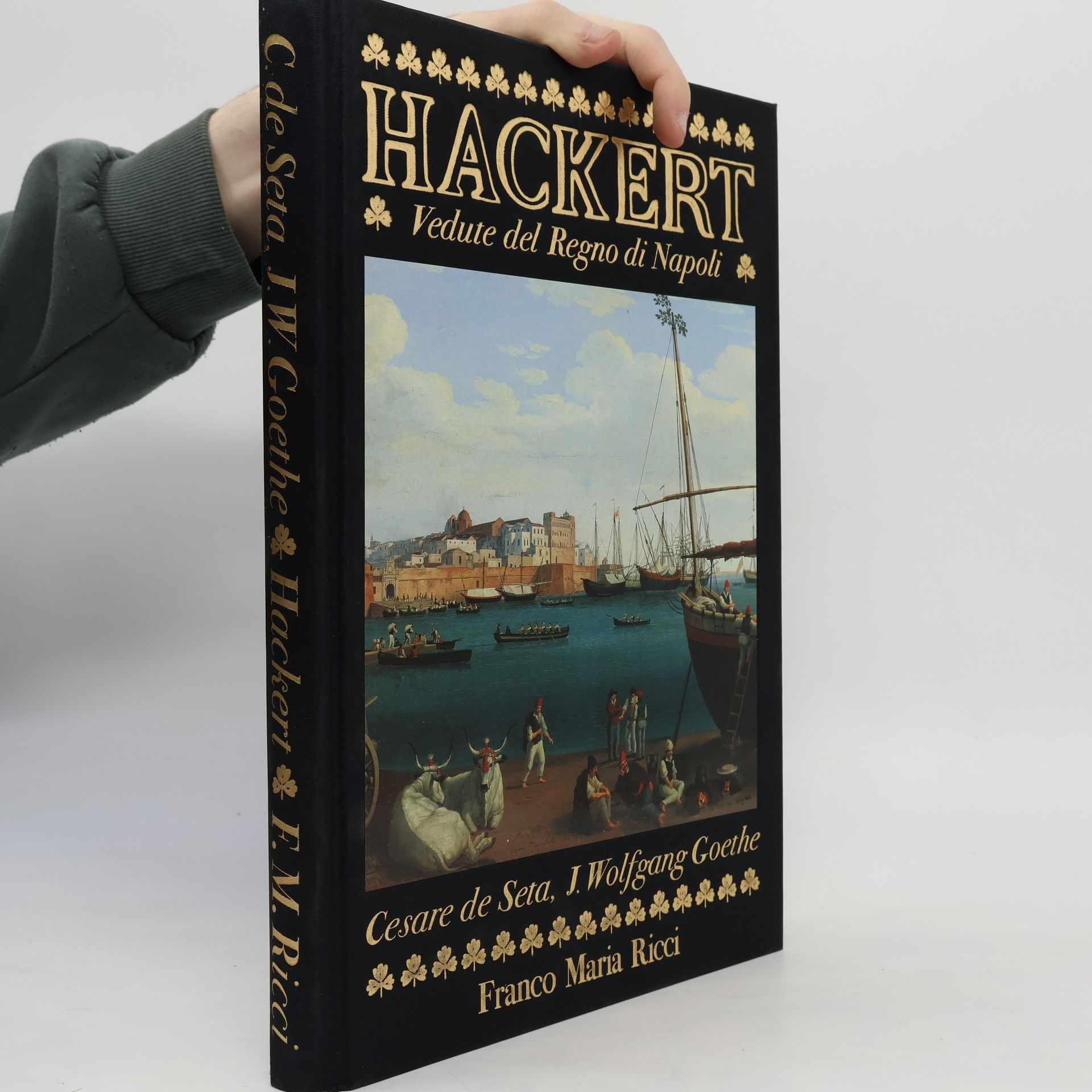 Vedute del Regno di Napoli