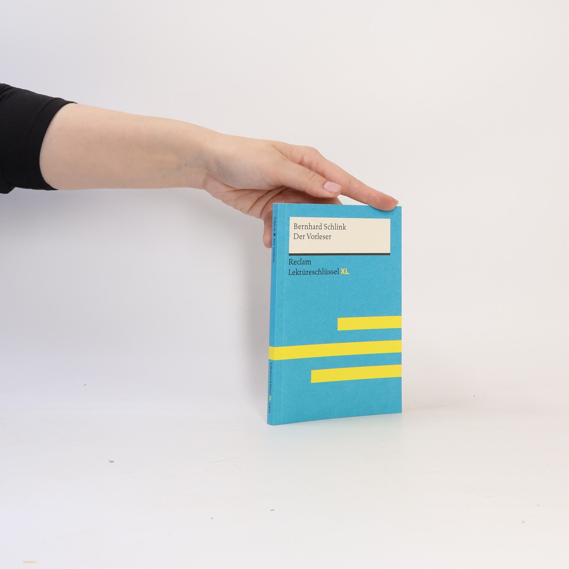 Sascha Feuchert Bernhard Schlink, Der Vorleser