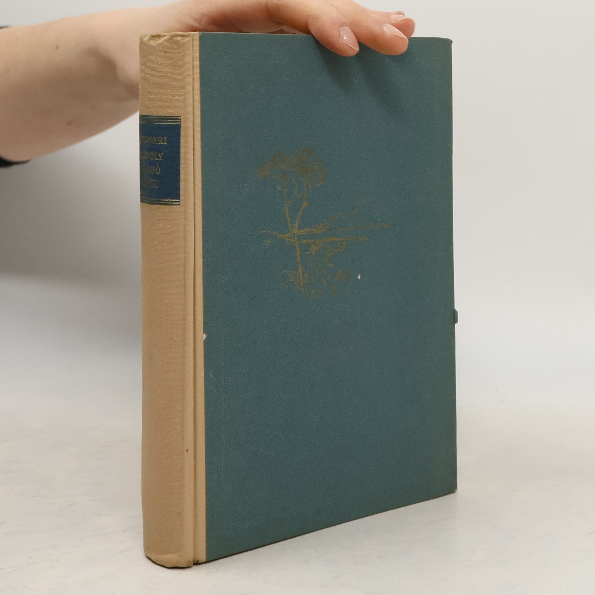 Nápoly eladó ötér'