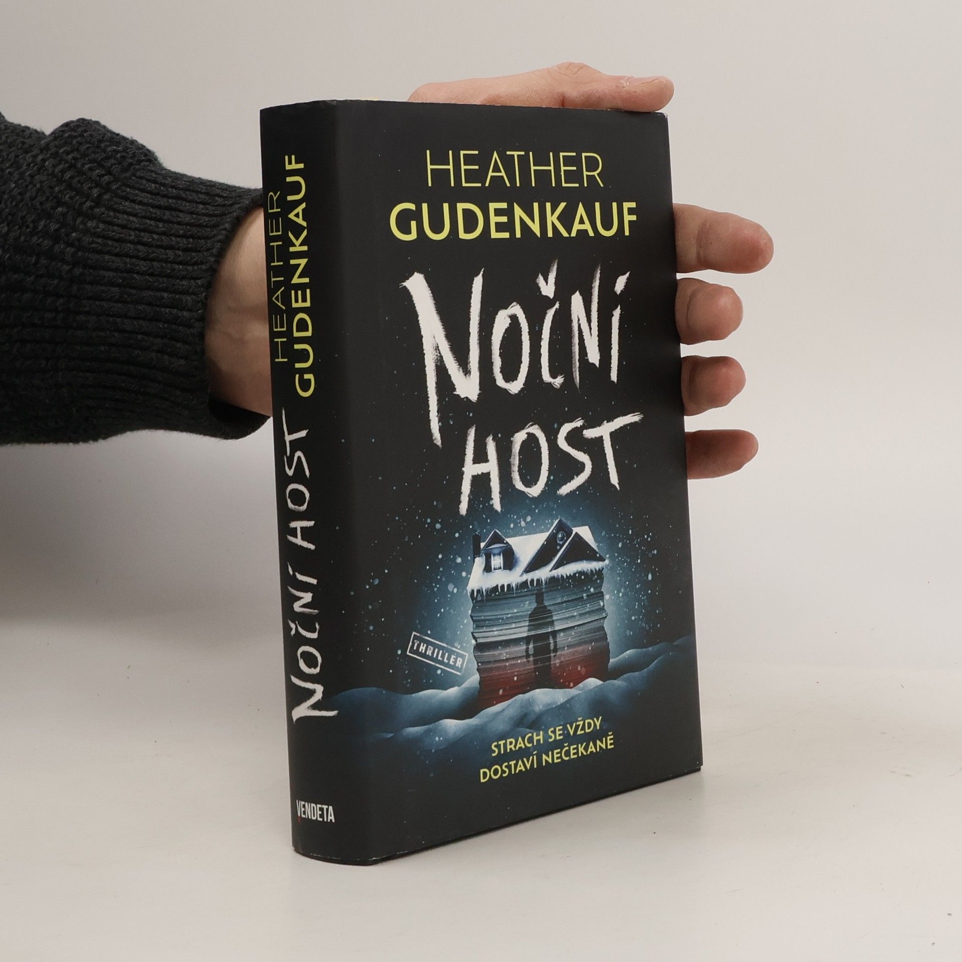 Heather Gudenkauf Noční host