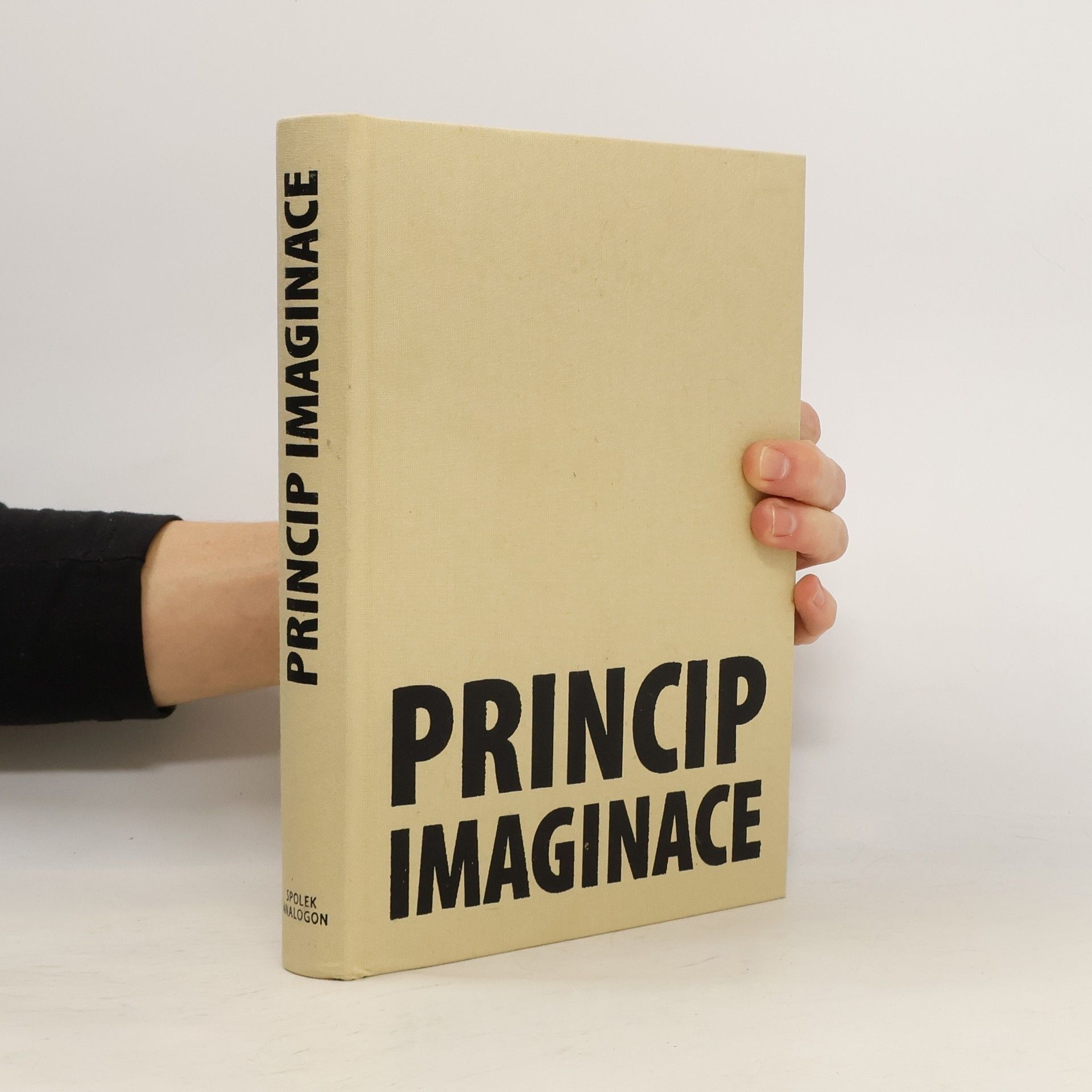 František Dryje Princip imaginace