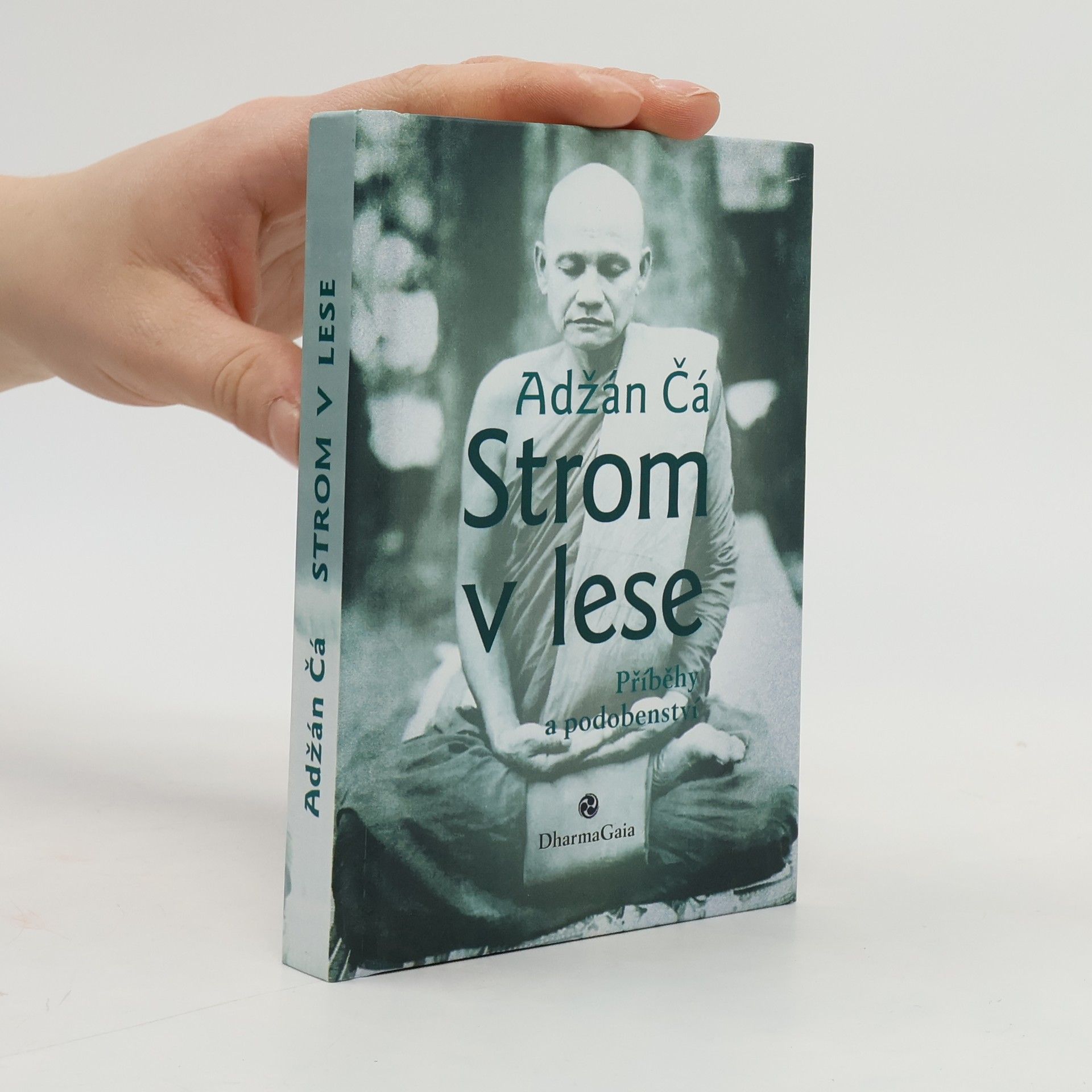 Jiří Černega Strom v lese : příběhy a podobenství