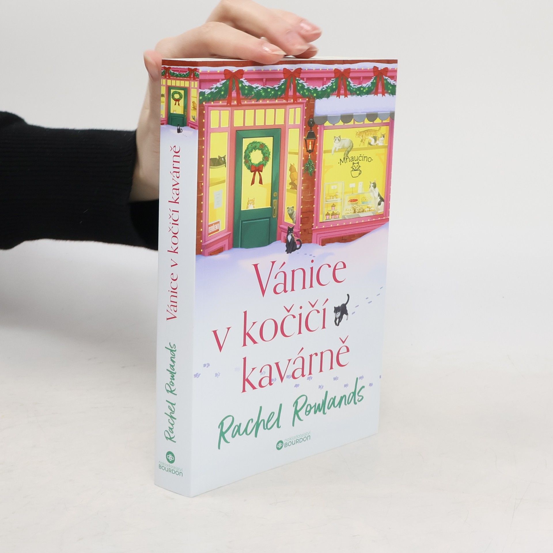 Rachel Rowlands Vánice v kočičí kavárně