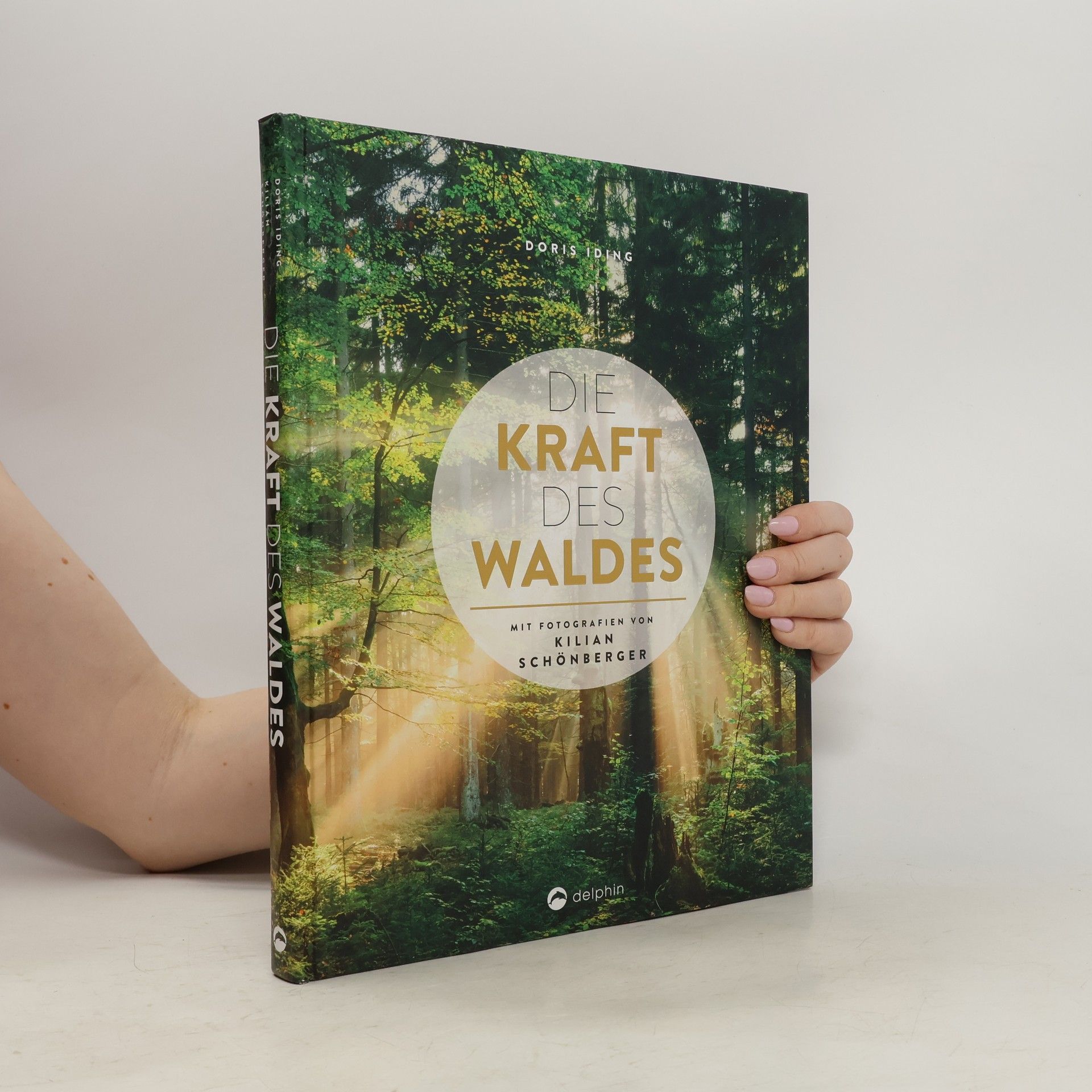 Doris Iding Die Kraft des Waldes
