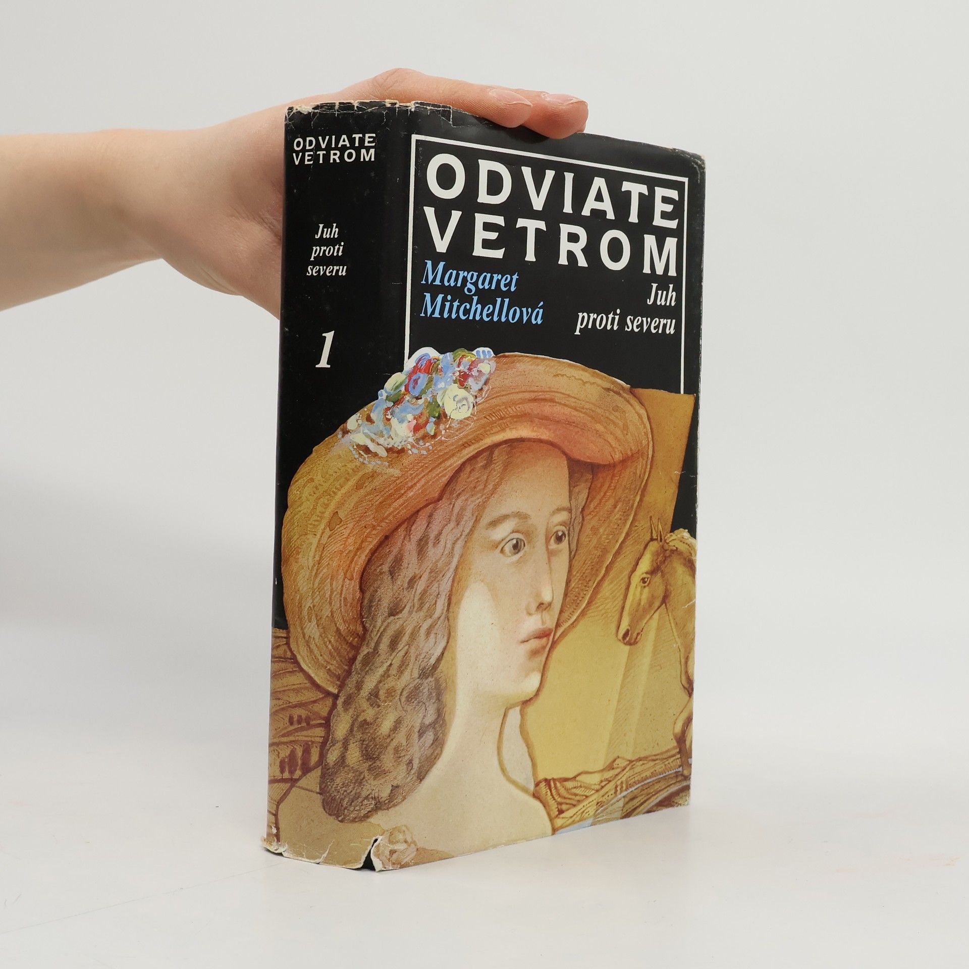 Margaret Mitchell Odviate vetrom 1. Juh proti severu