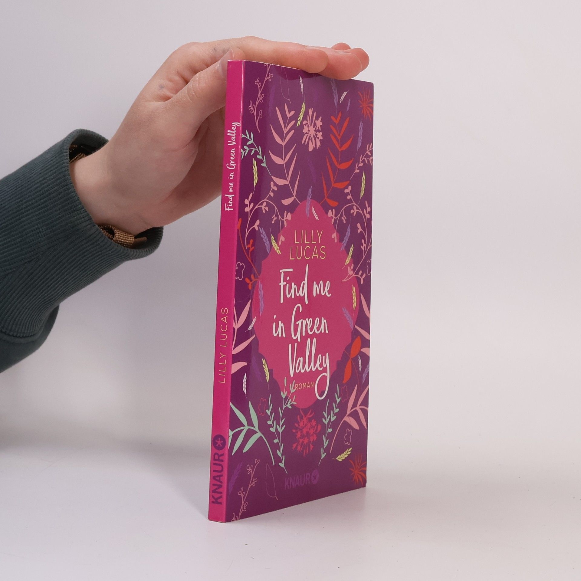 Lilly Lucas Find me in Green Valley