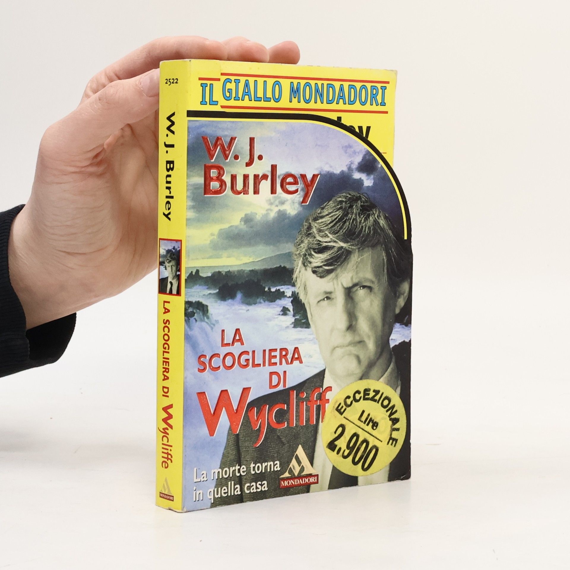 W.J. Burley La scogliera di Wycliffe