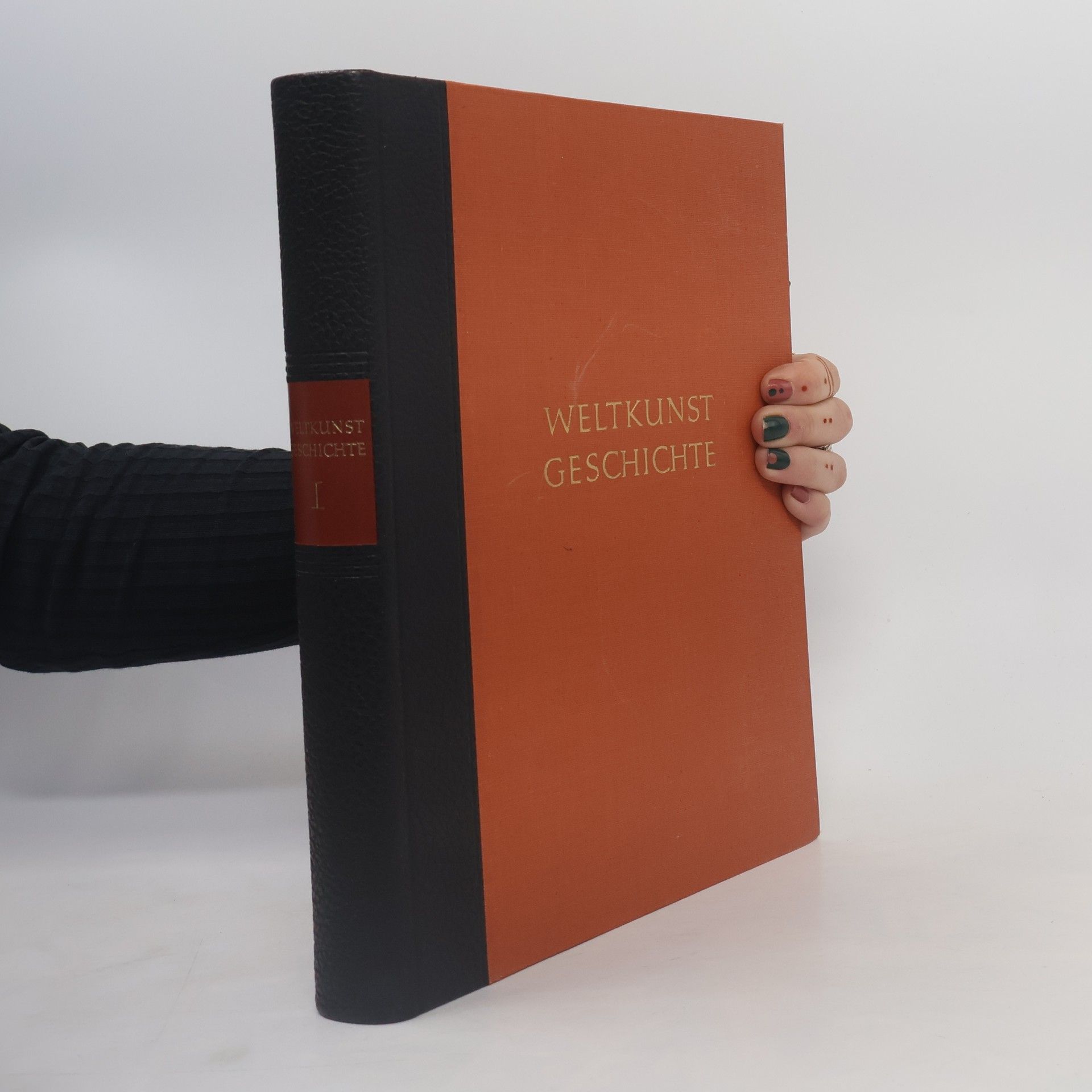 Kolektiv autorů Weltkunstgeschichte I.