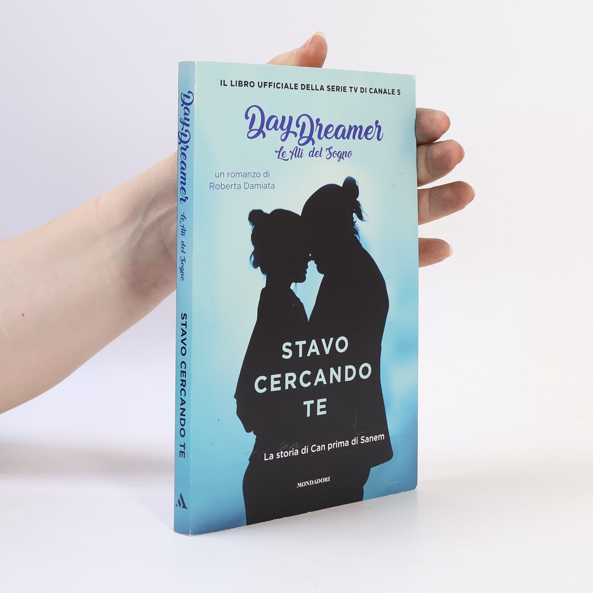 Roberta Damiata Stavo cercando te. La storia di Can prima di Sanem.