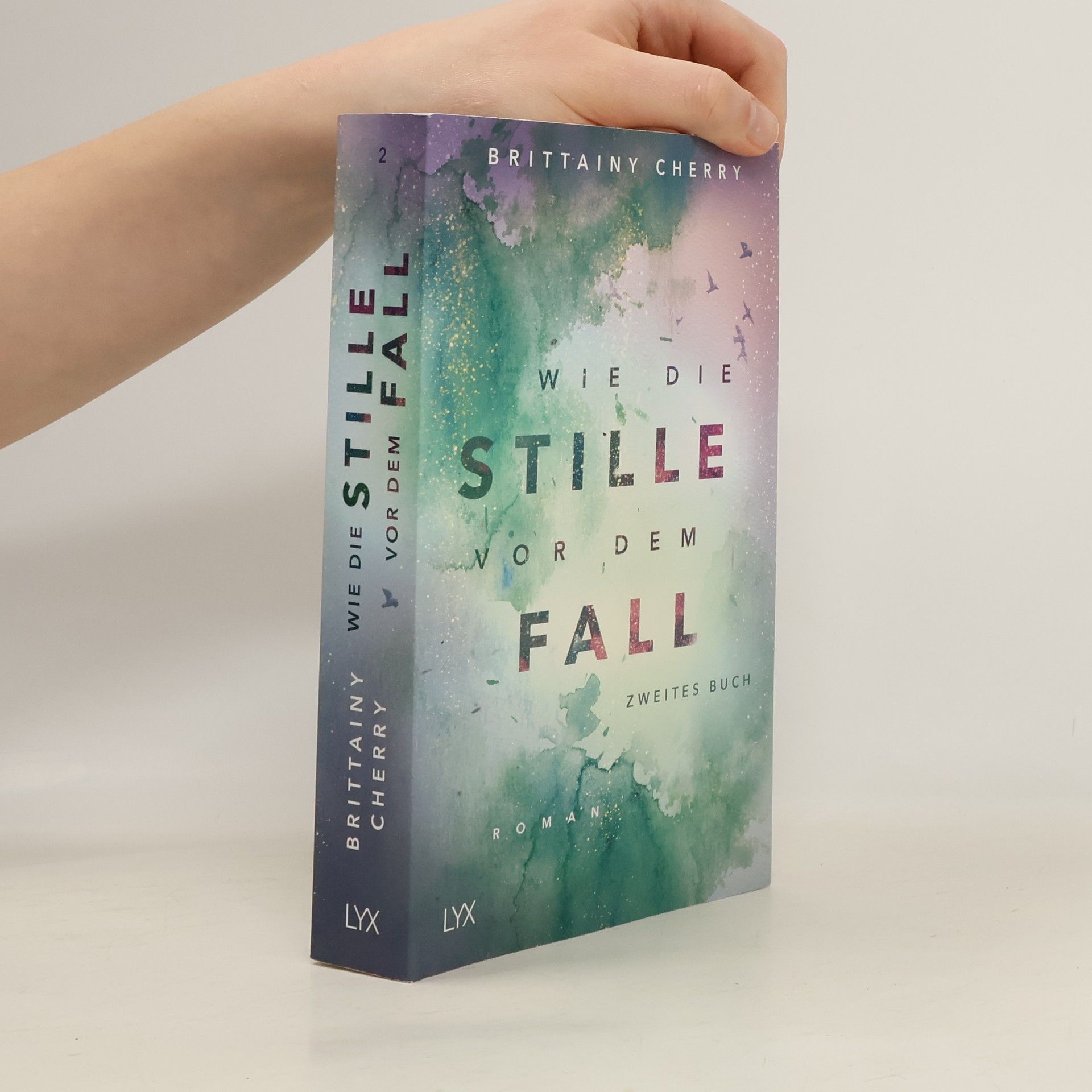 Brittainy C. Cherry Wie die Stille vor dem Fall 2