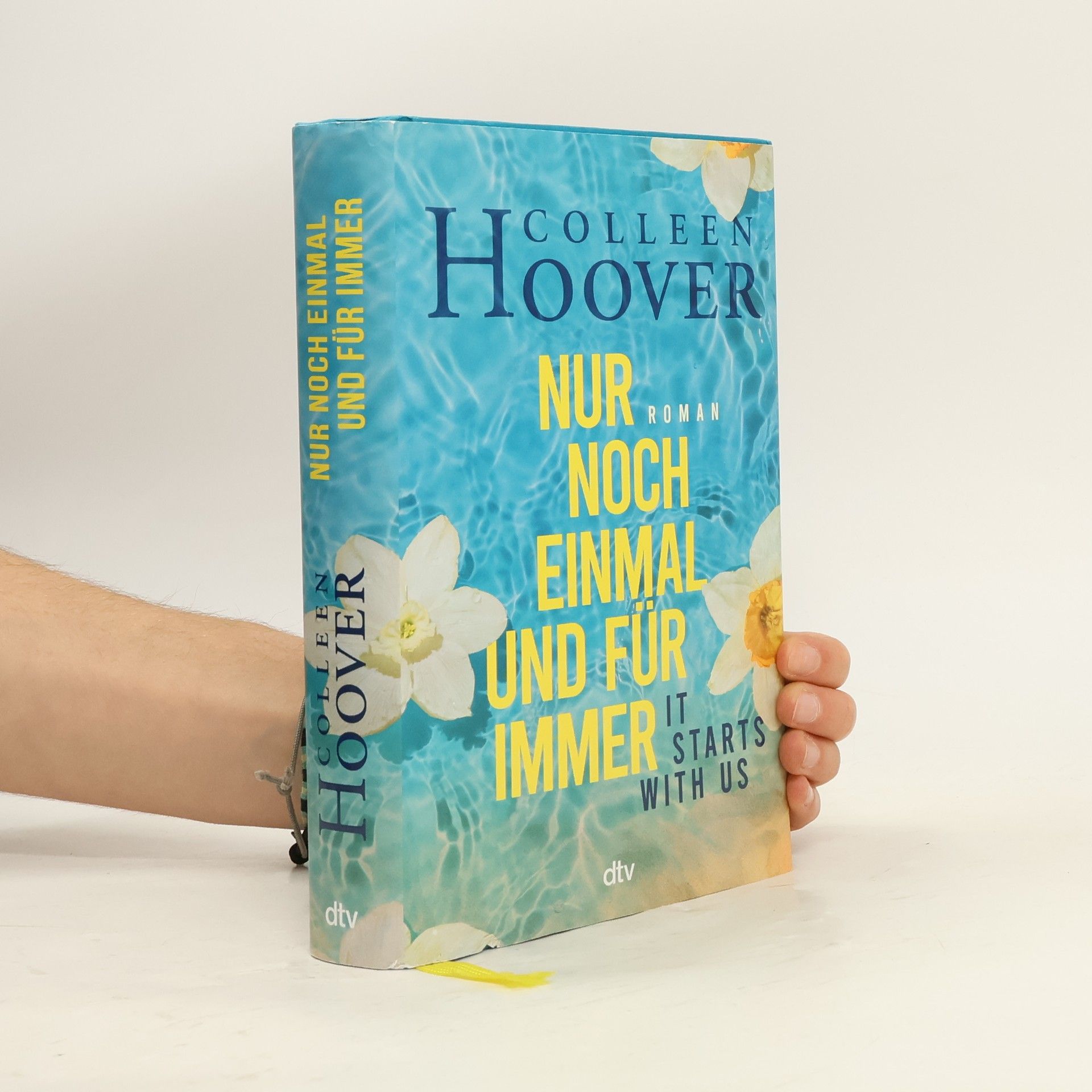 Colleen Hoover Nur noch einmal und für immer