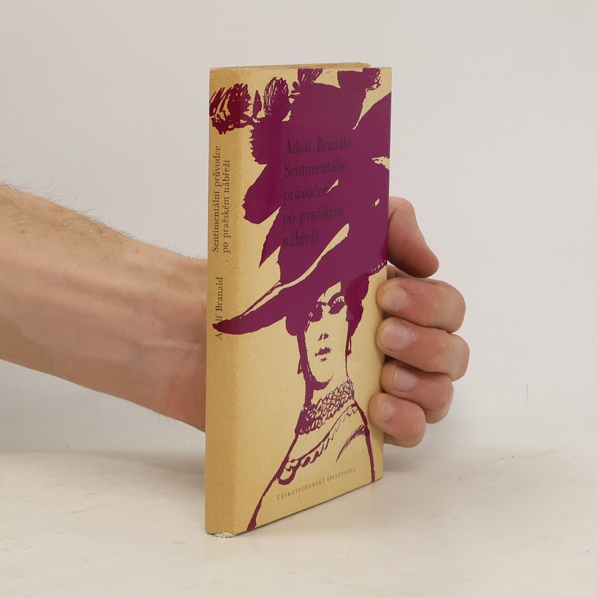 Adolf Branald Sentimentální průvodce po pražském nábřeží
