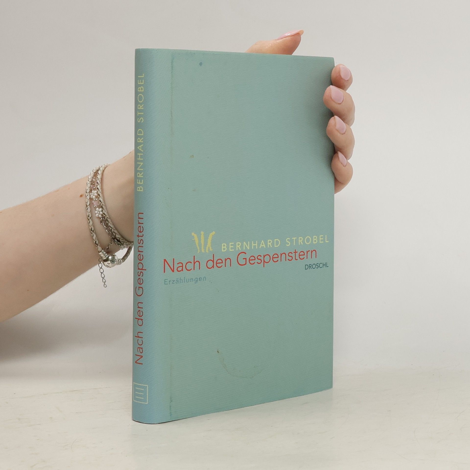 Bernhard Strobel Nach den Gespenstern