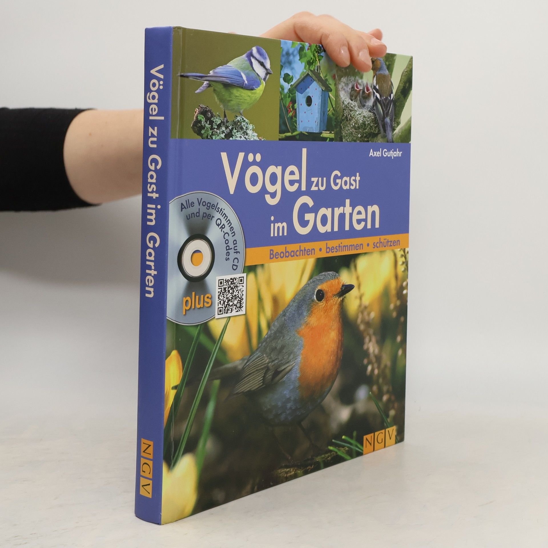 Autorenkollektiv Vögel zu Gast im Garten