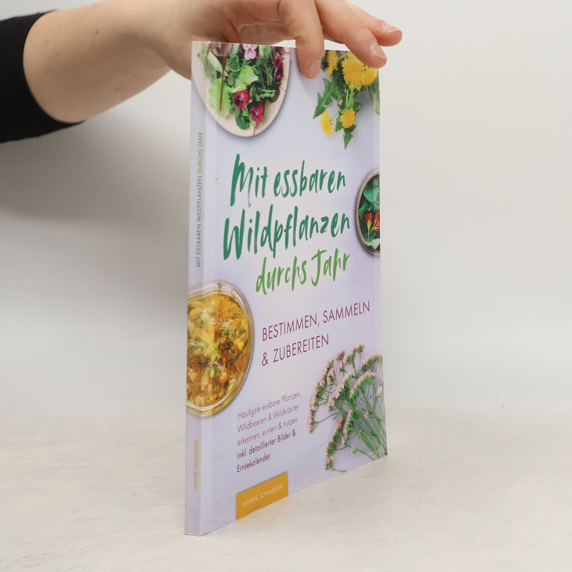 Janine Schneider Mit essbaren Wildpflanzen durchs Jahr - bestimmen, sammeln & zubereiten
