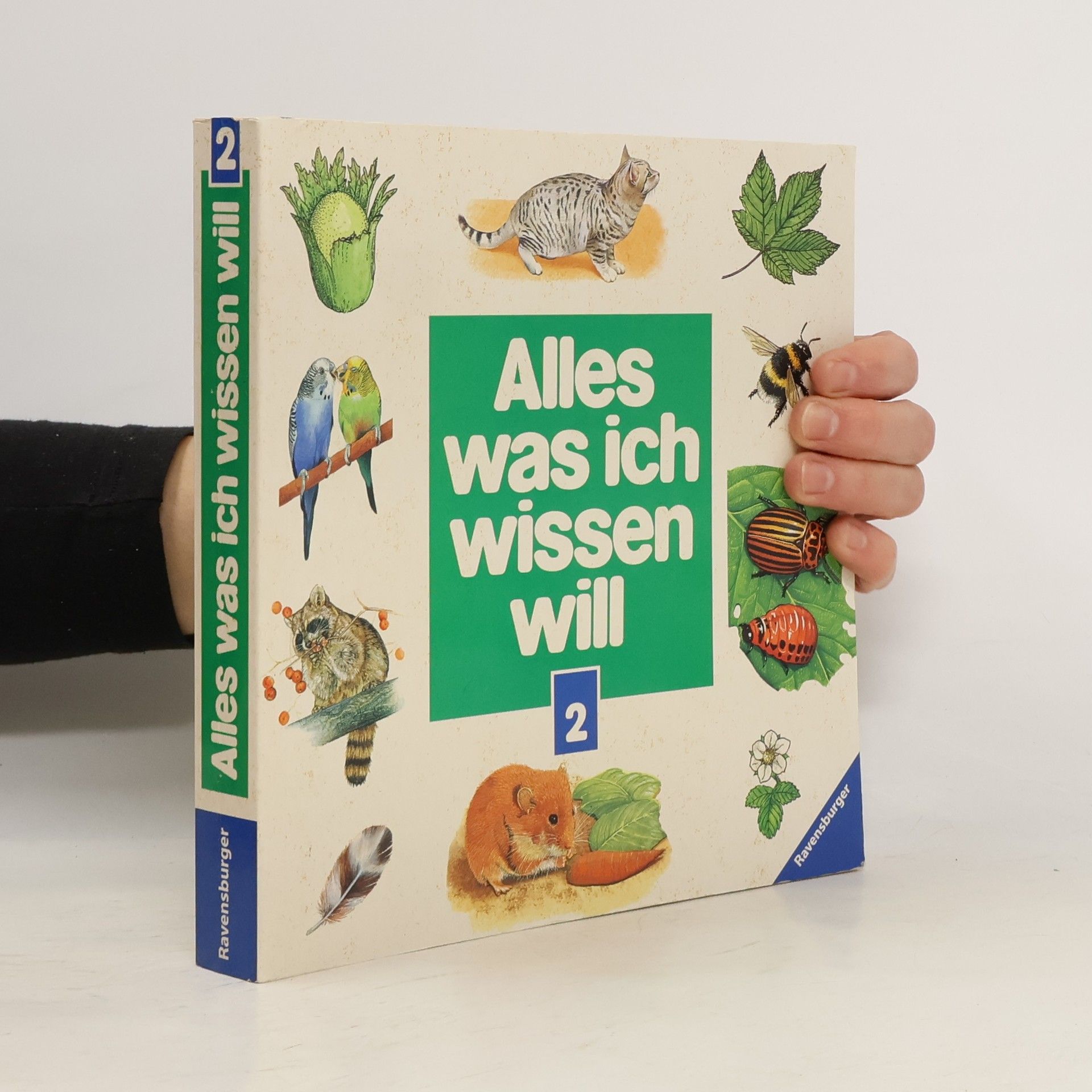 Autorenkollektiv Alles was ich wissen will 2