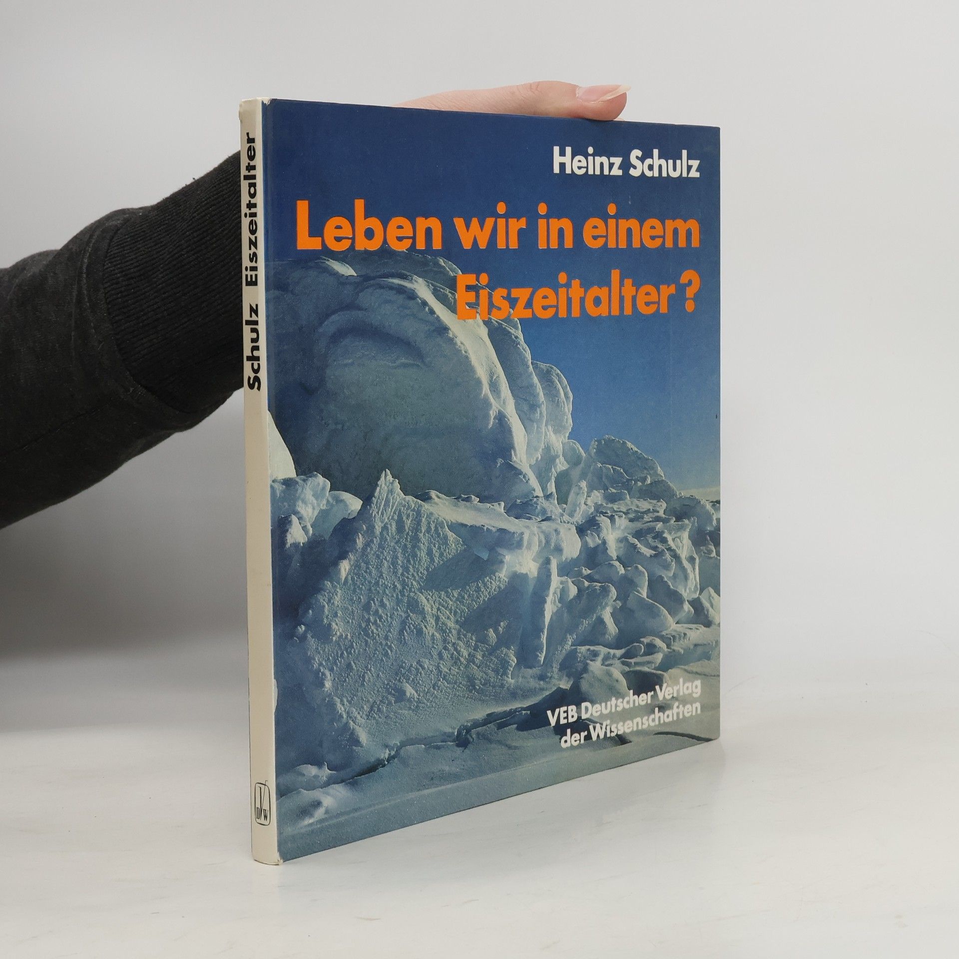 Leben wir in einem Eiszeitalter?