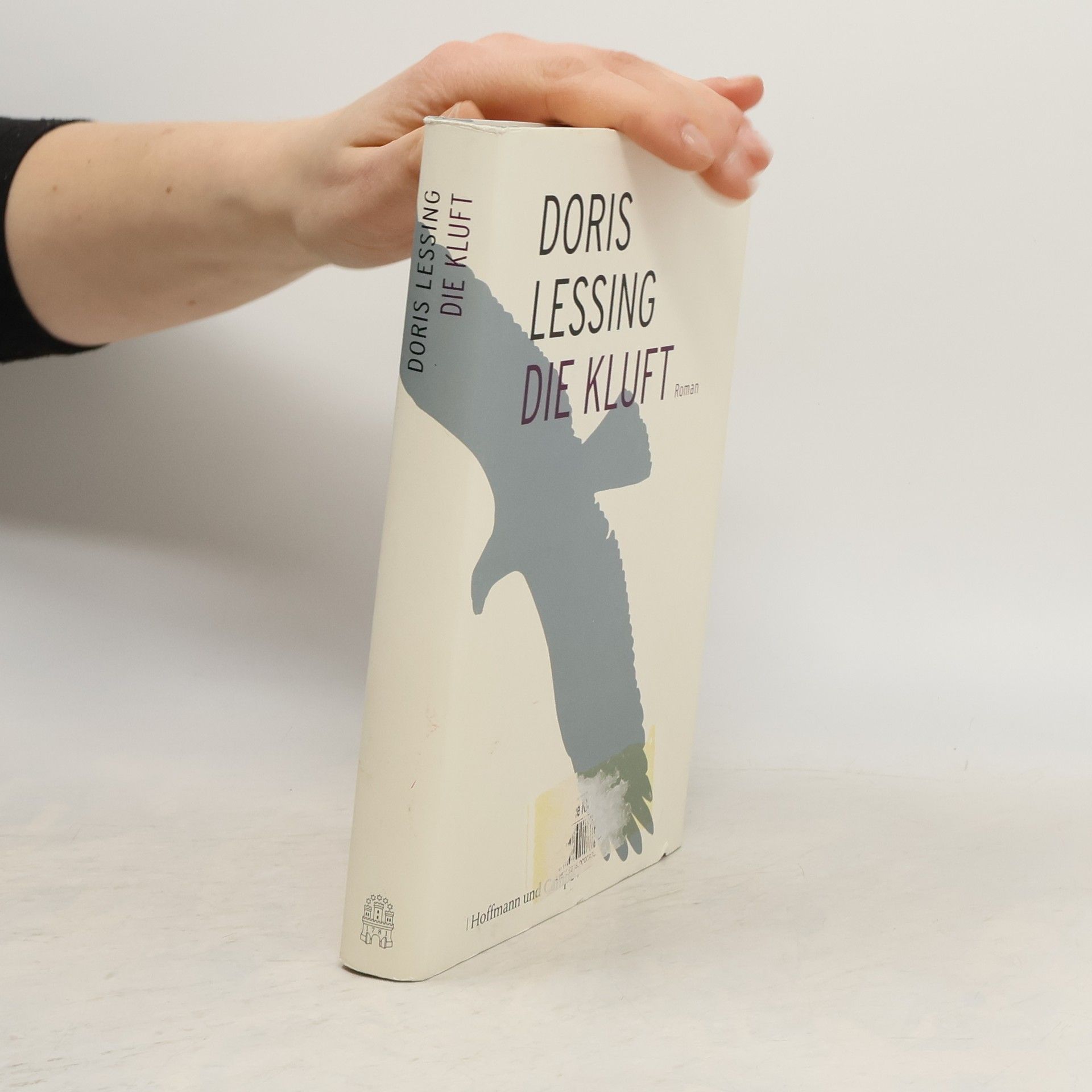 Doris Lessing Die Kluft