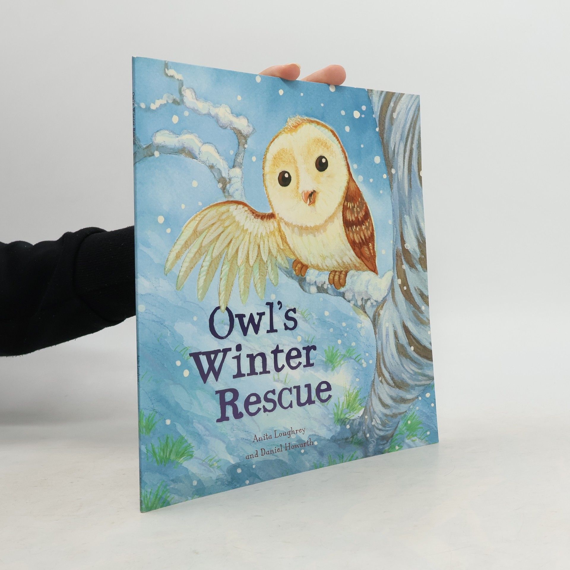 Owls Winter Rescue