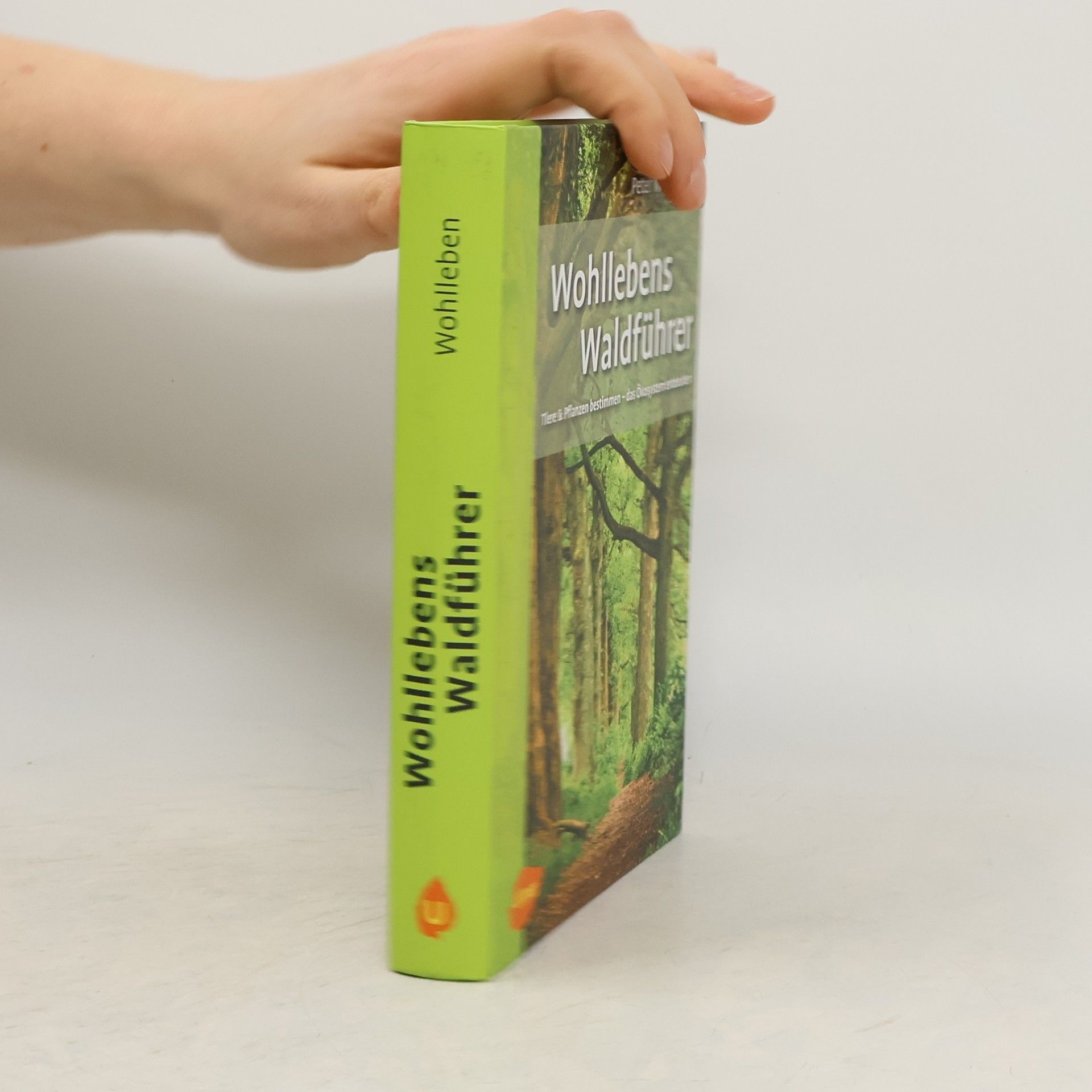 Peter Wohlleben Wohllebens Waldführer