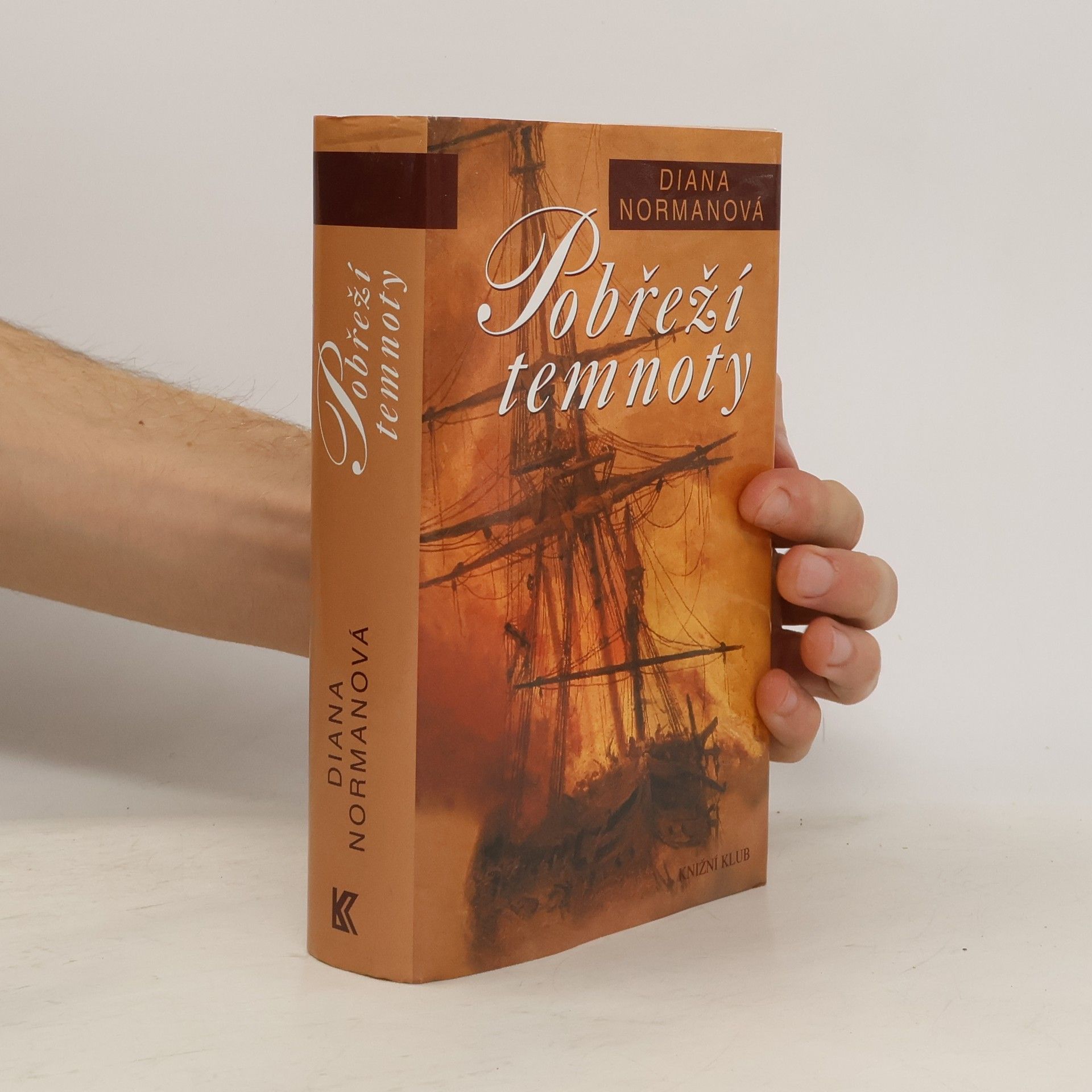 Ariana Franklinová Pobřeží temnoty