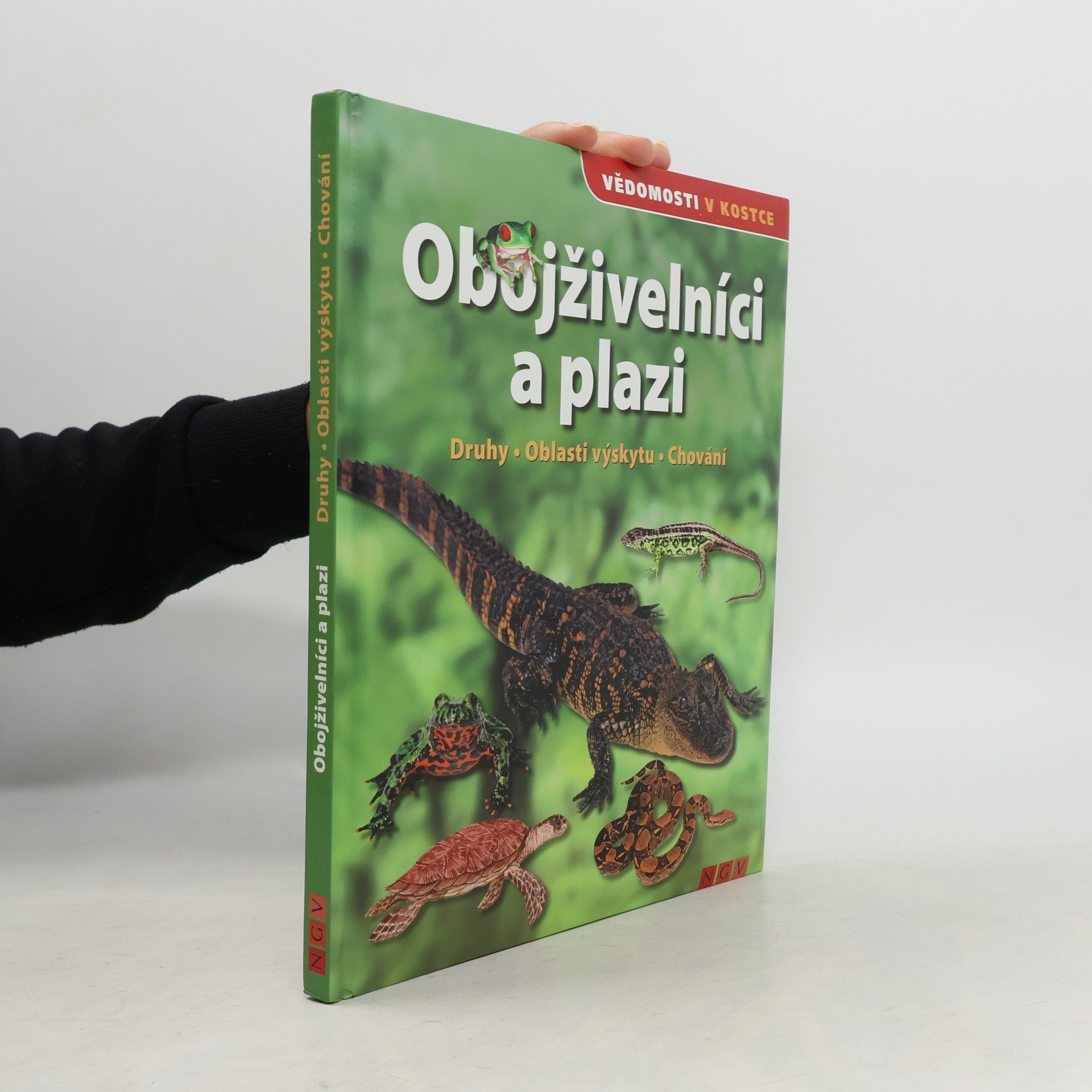 Martin Sobkuljak Obojživelníci a plazi