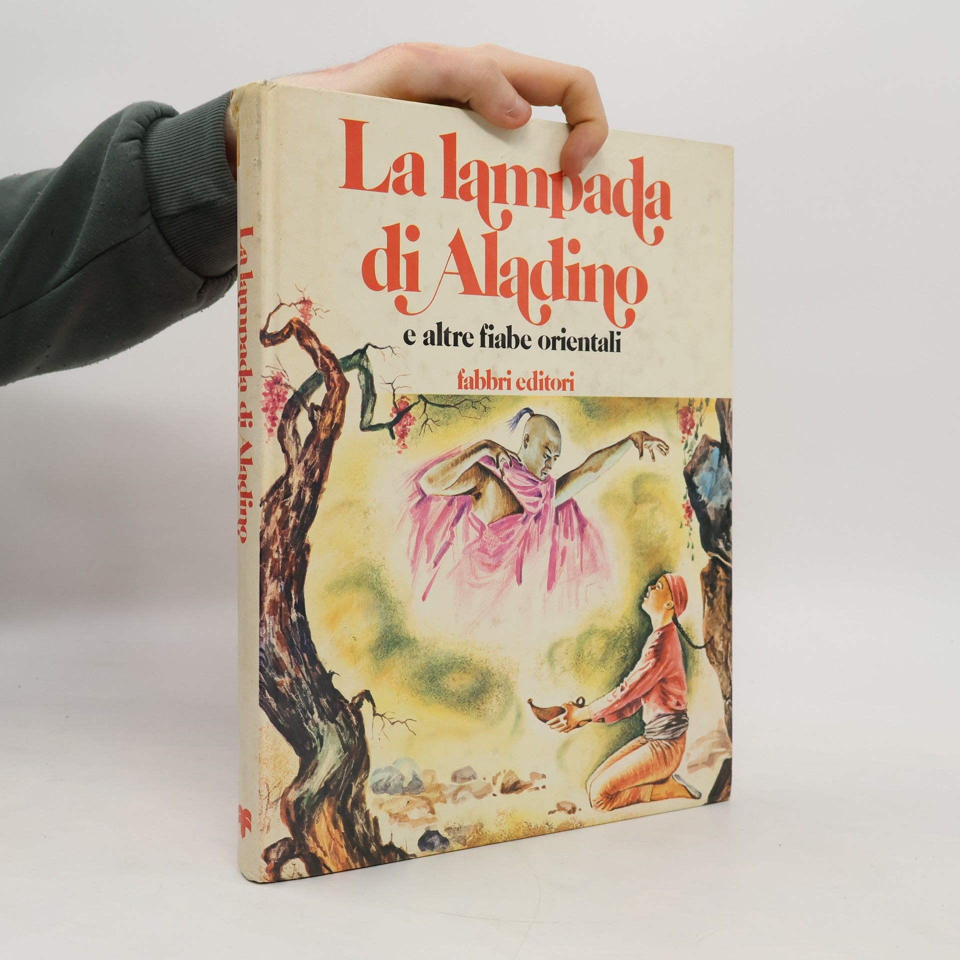 Kolektiv autorů La lampada di Aladino