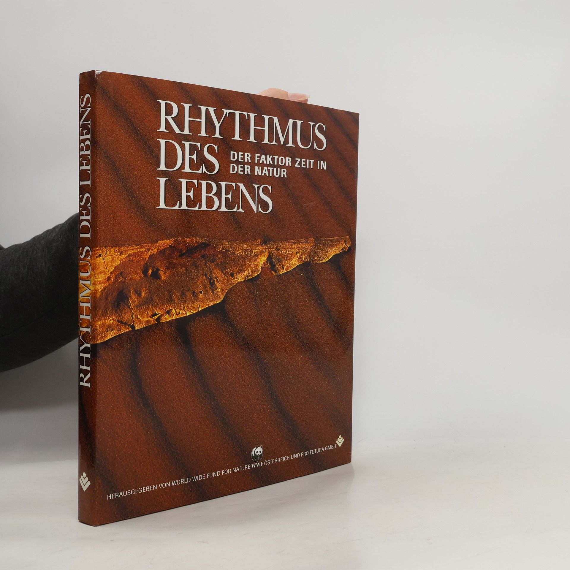 Collectif d'auteurs Rhythmus des Lebens