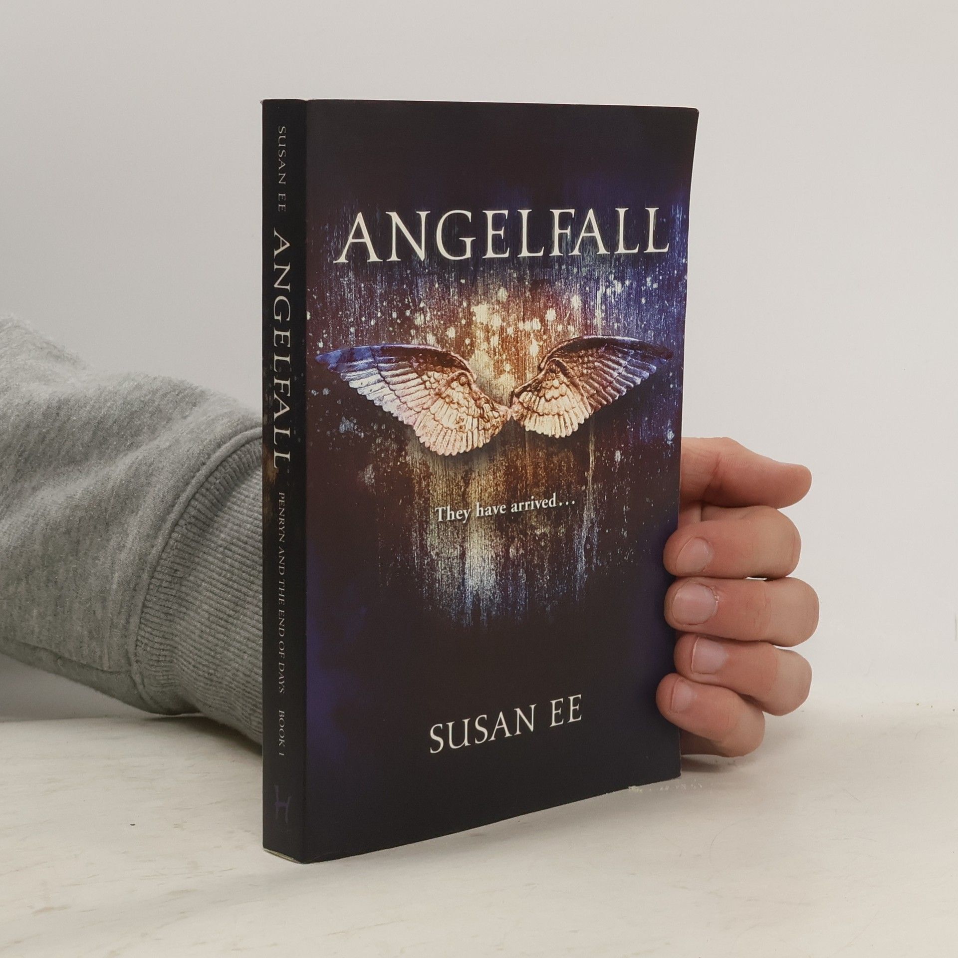Susan Ee Angelfall