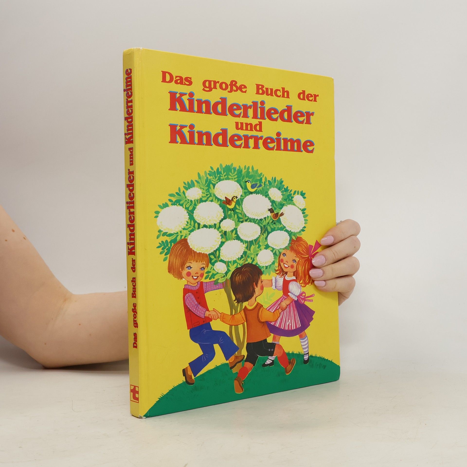 kolektiv Das grosse Buch der Kinderlieder und Kinderreime