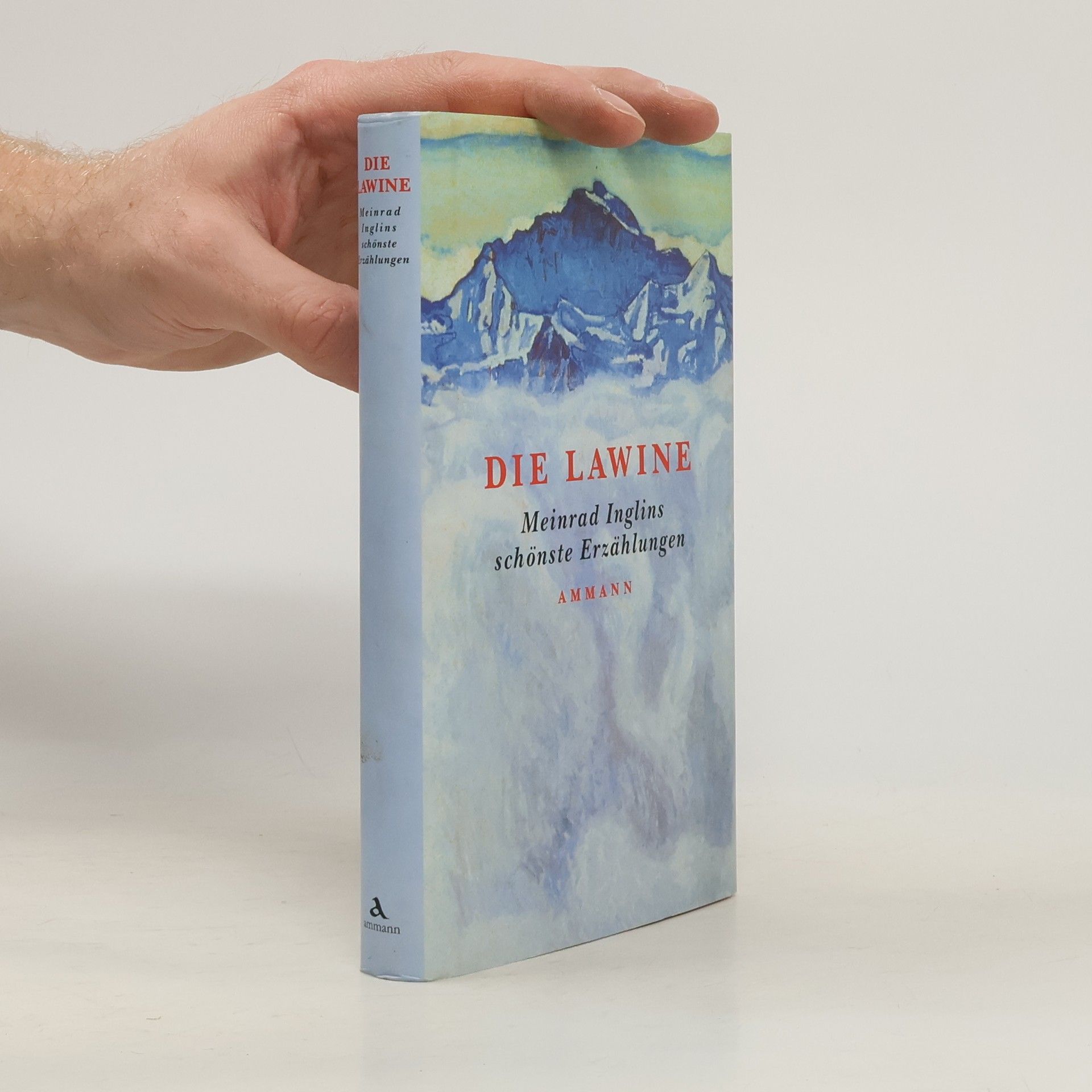 Meinrad Inglin Die Lawine