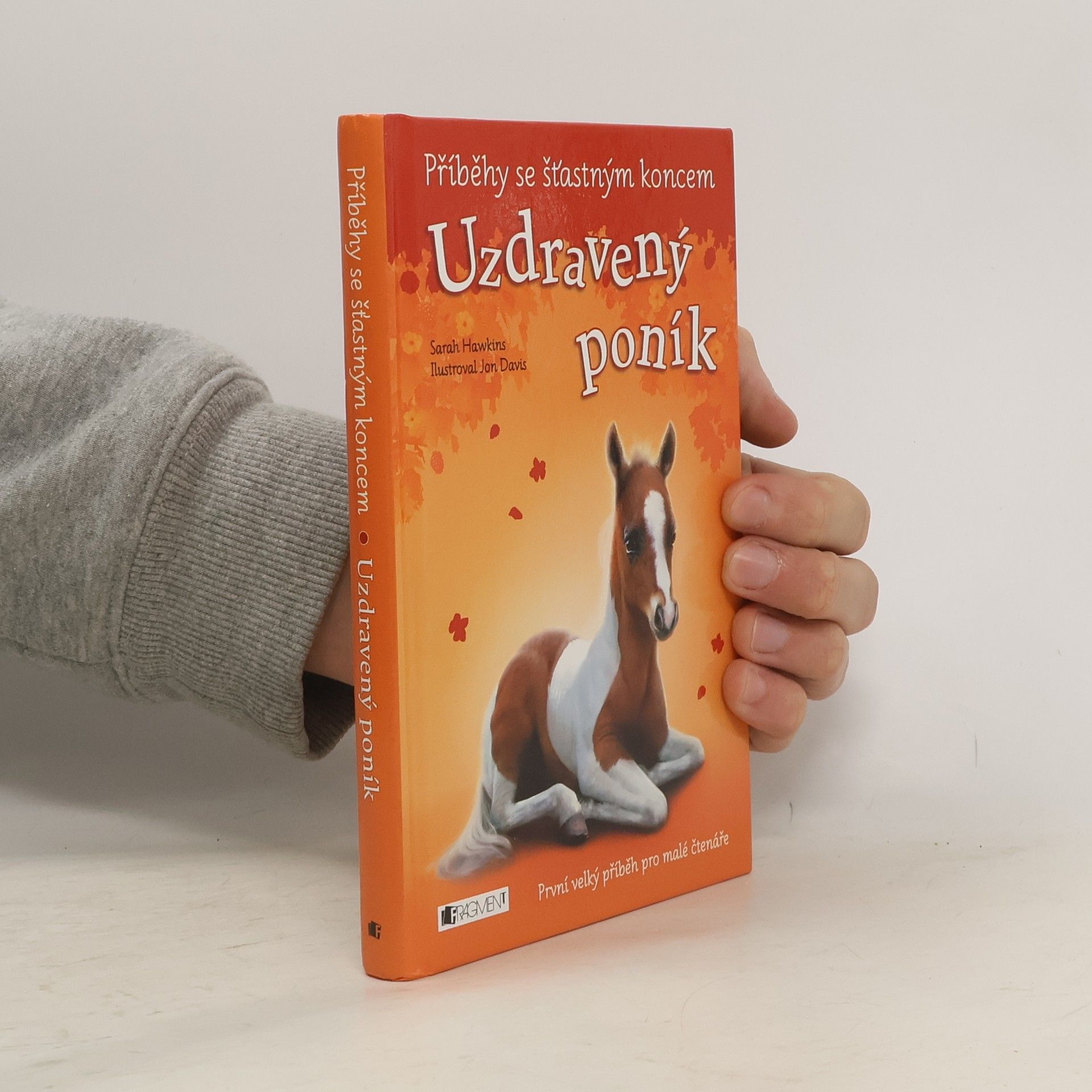 Eva Brožová Uzdravený poník