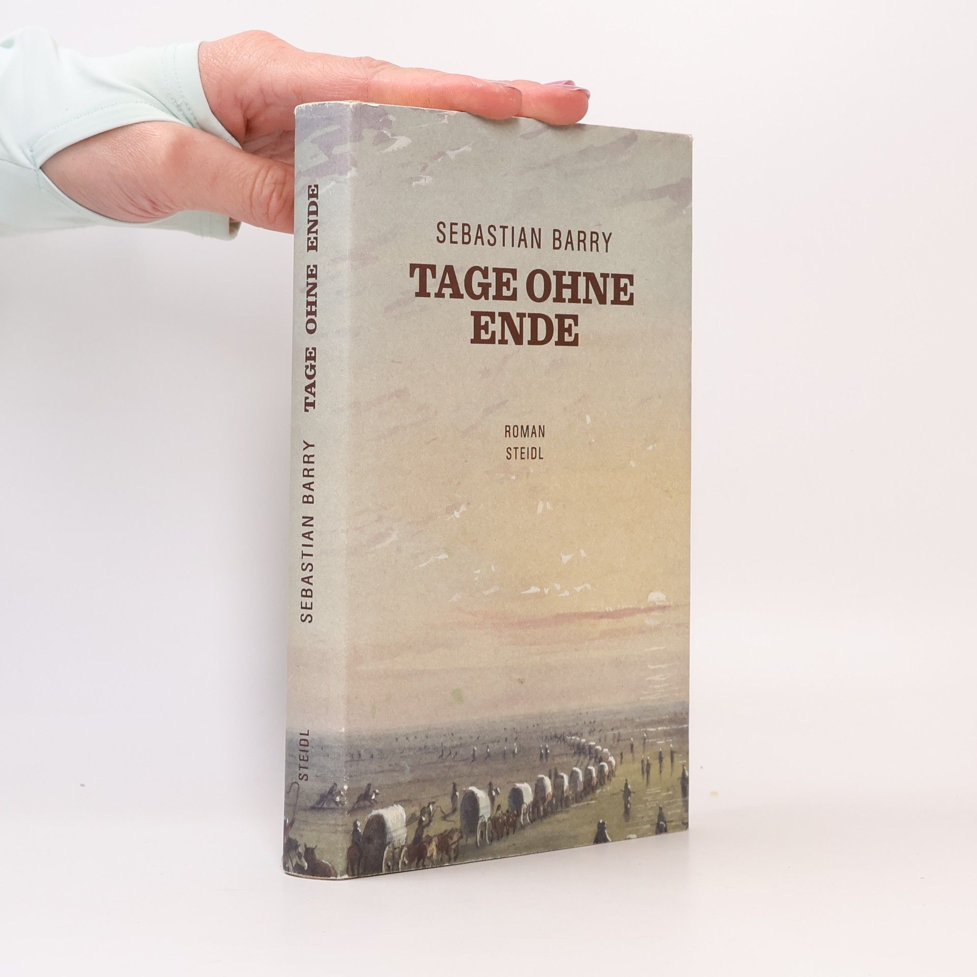 Sebastian Barry Tage ohne Ende