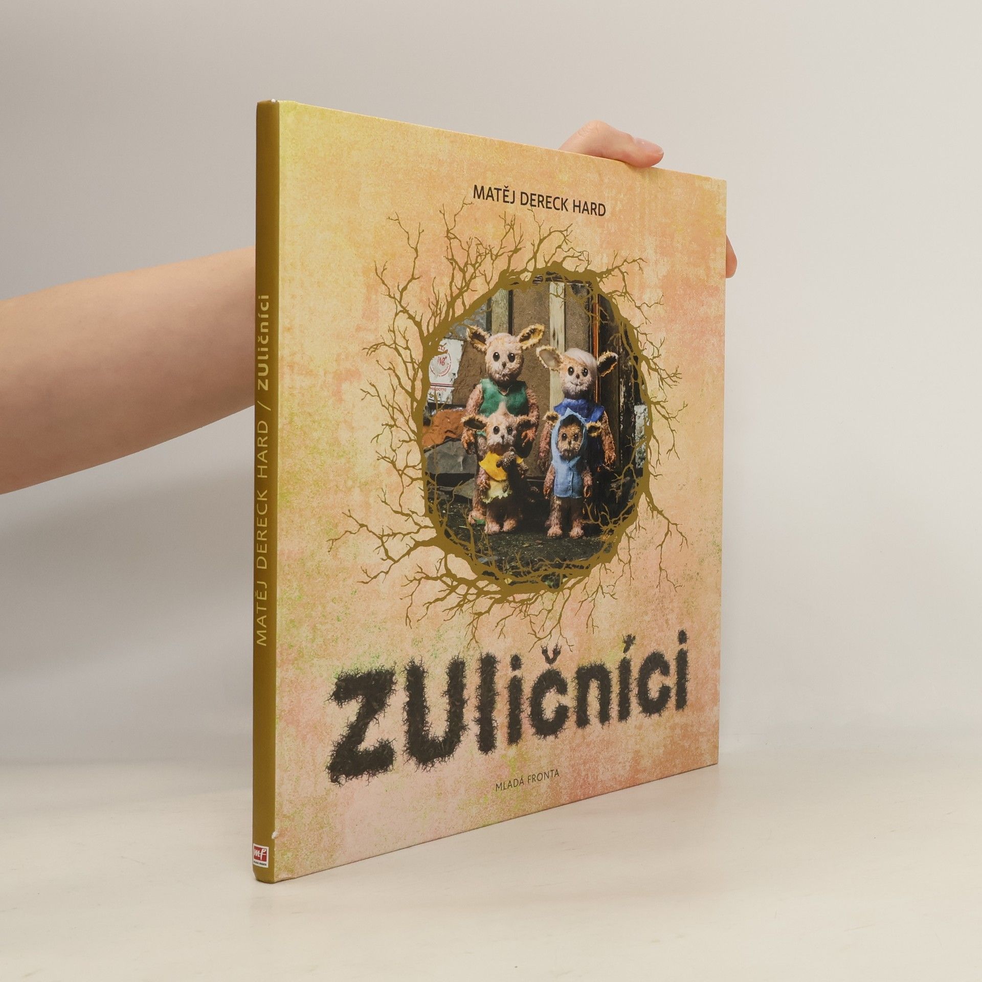 Dereck Hard ZUličníci