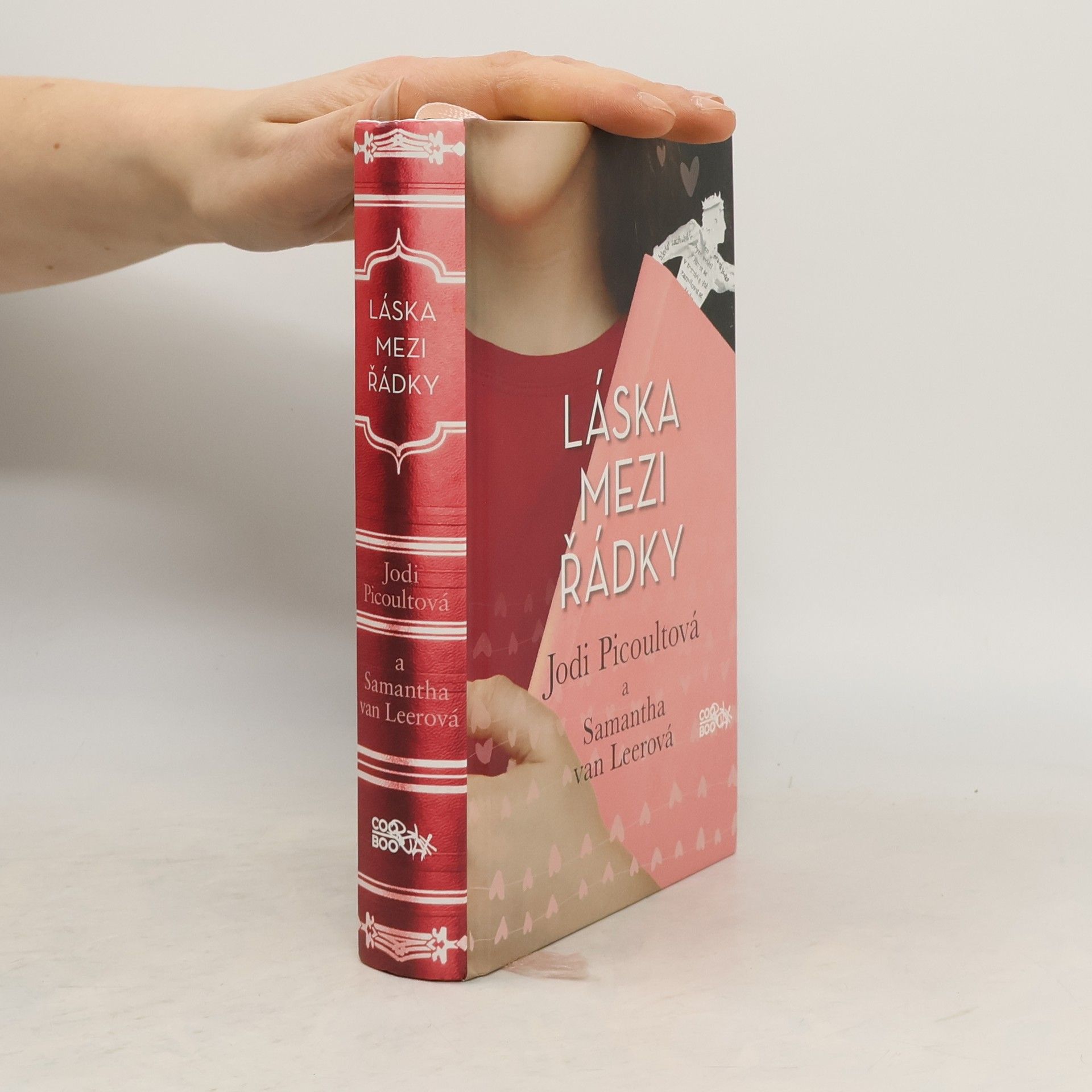 Jodi Picoult Láska mezi řádky