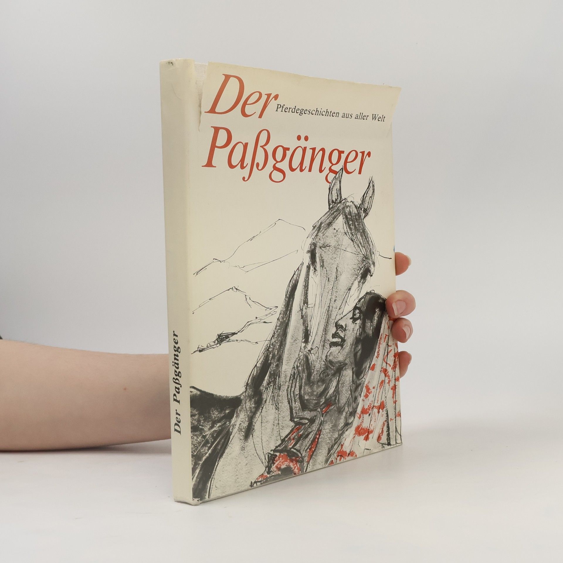 Kolektiv autorů Der Paßgänger