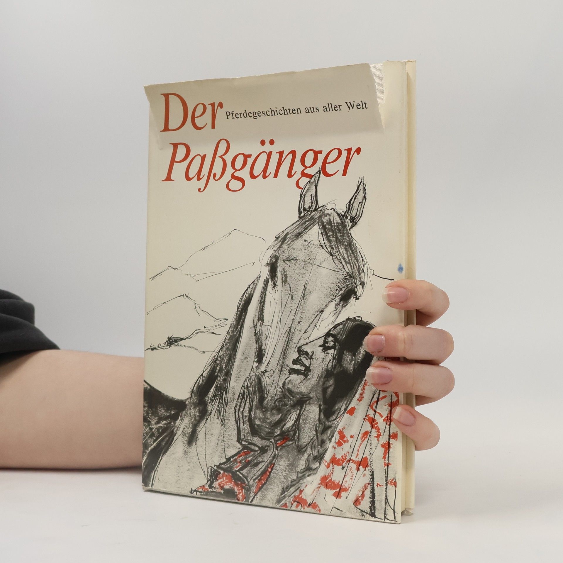 Kolektiv autorů Der Paßgänger