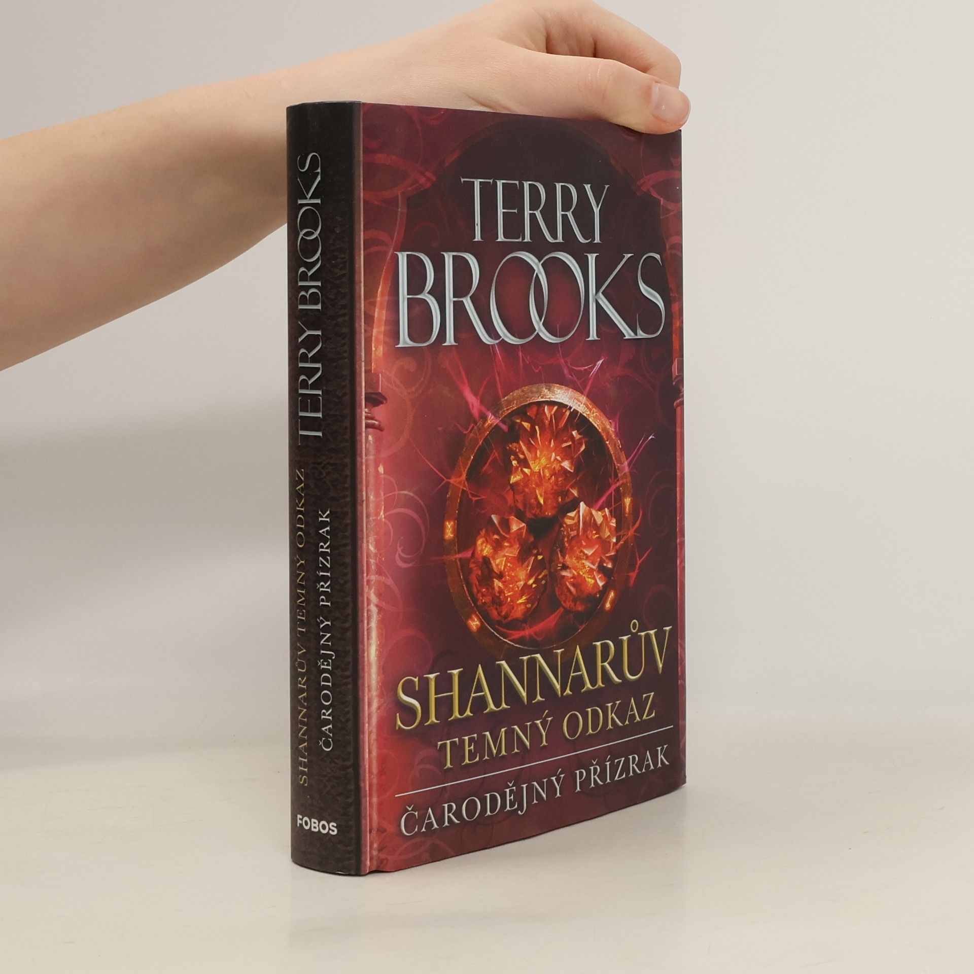 Terry Brooks Čarodějný přízrak