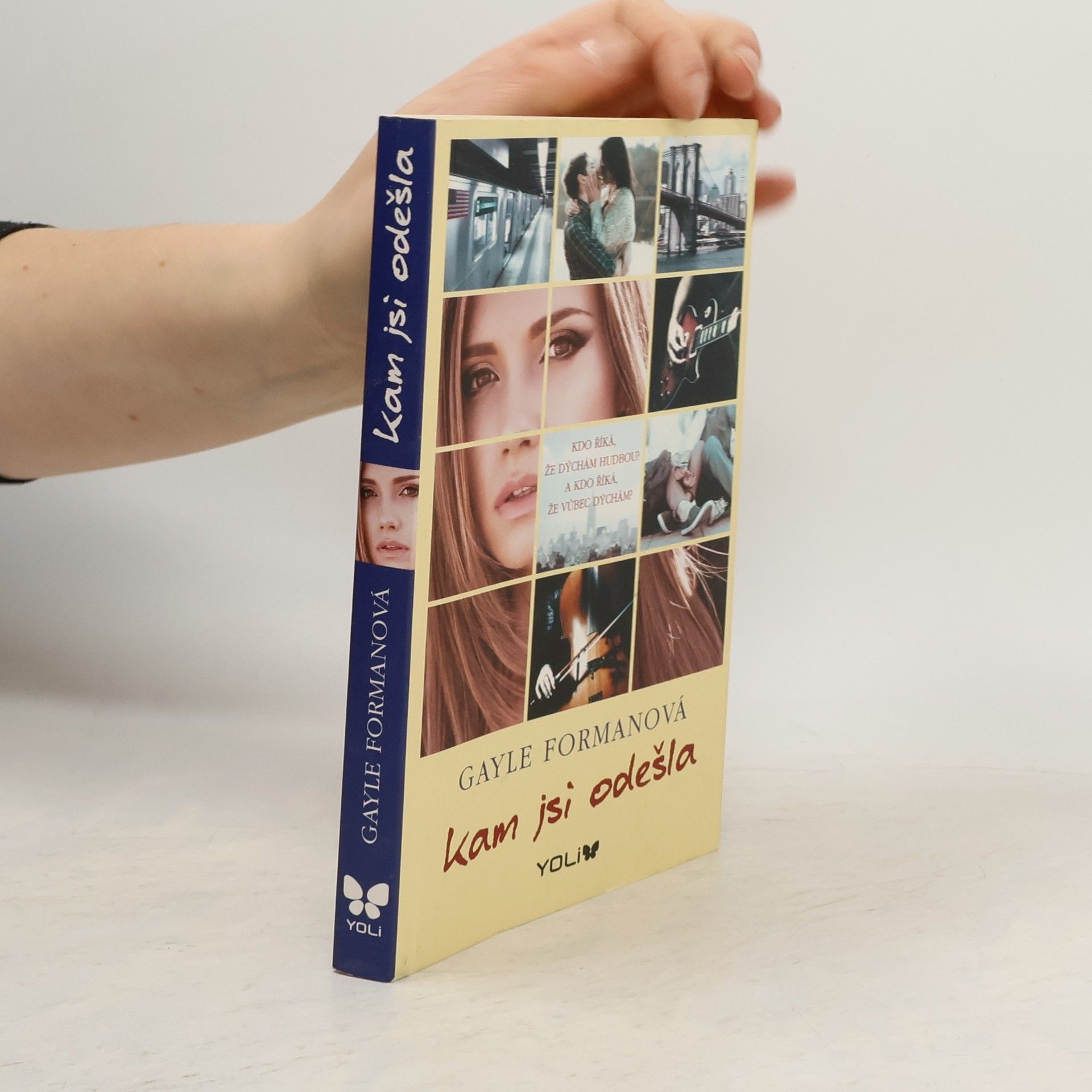 Gayle Forman Kam jsi odešla
