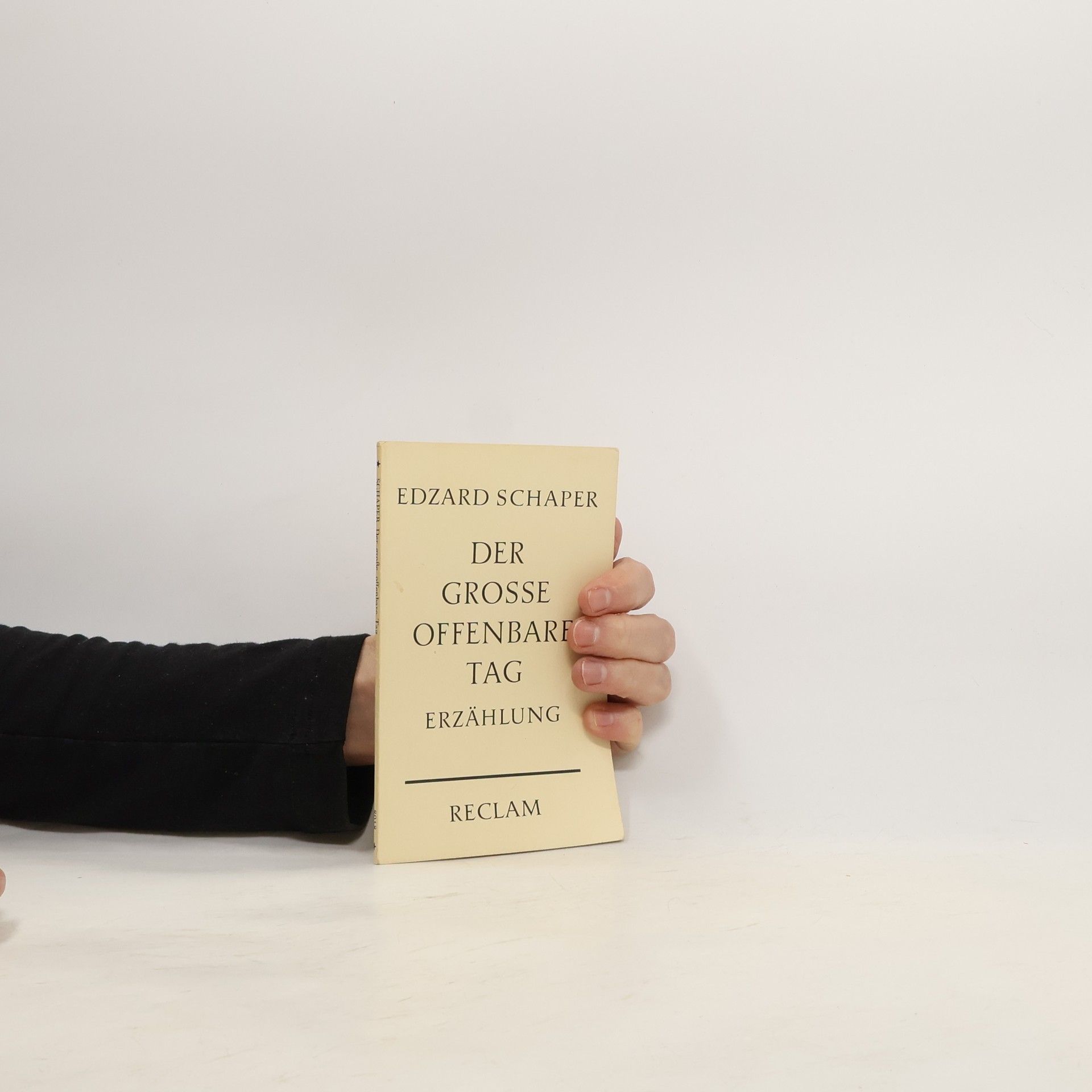 Edzard Schaper Der große, offenbare Tag. Erzählung