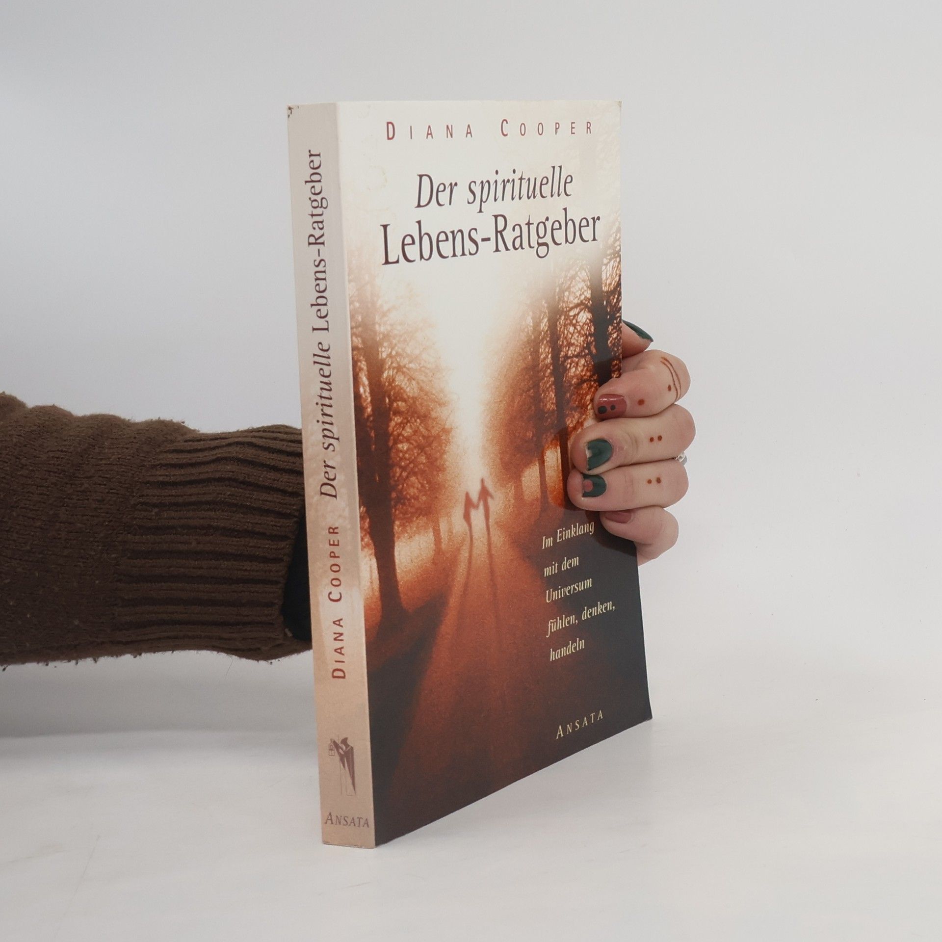 Diana Cooper Der spirituelle Lebens-Ratgeber