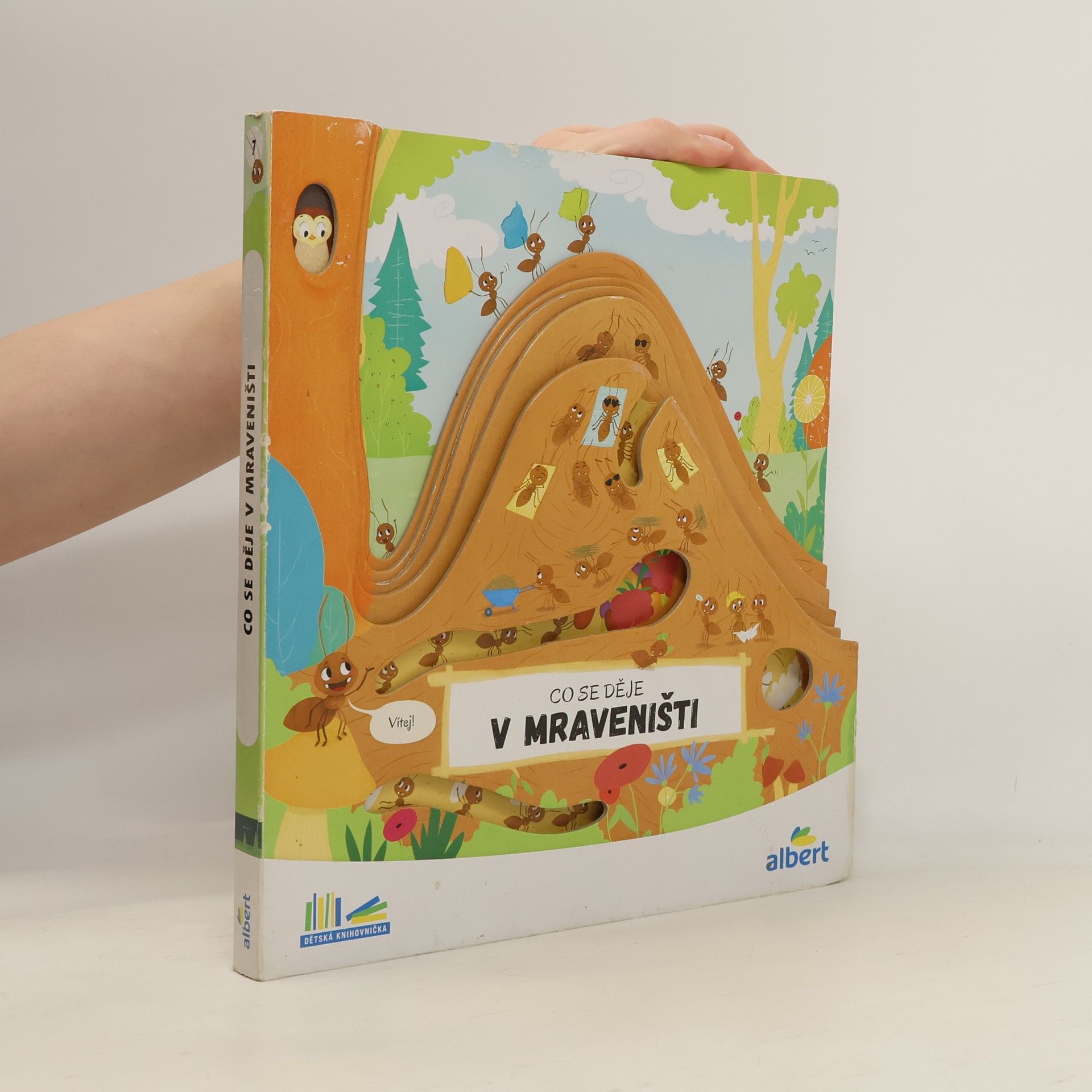 Kolektiv autorů Co se děje v mraveništi