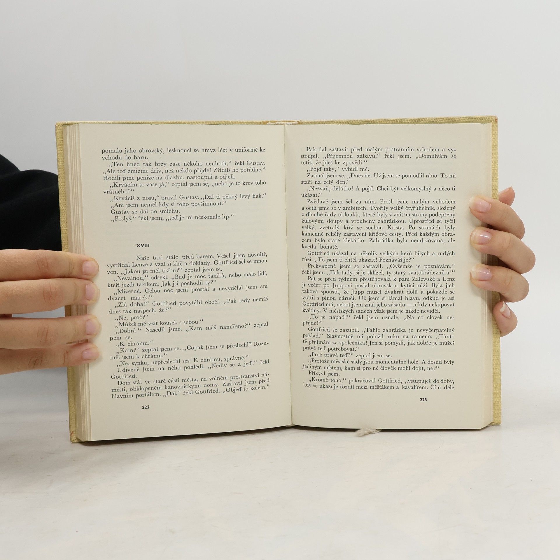 Erich Maria Remarque Tři kamarádi